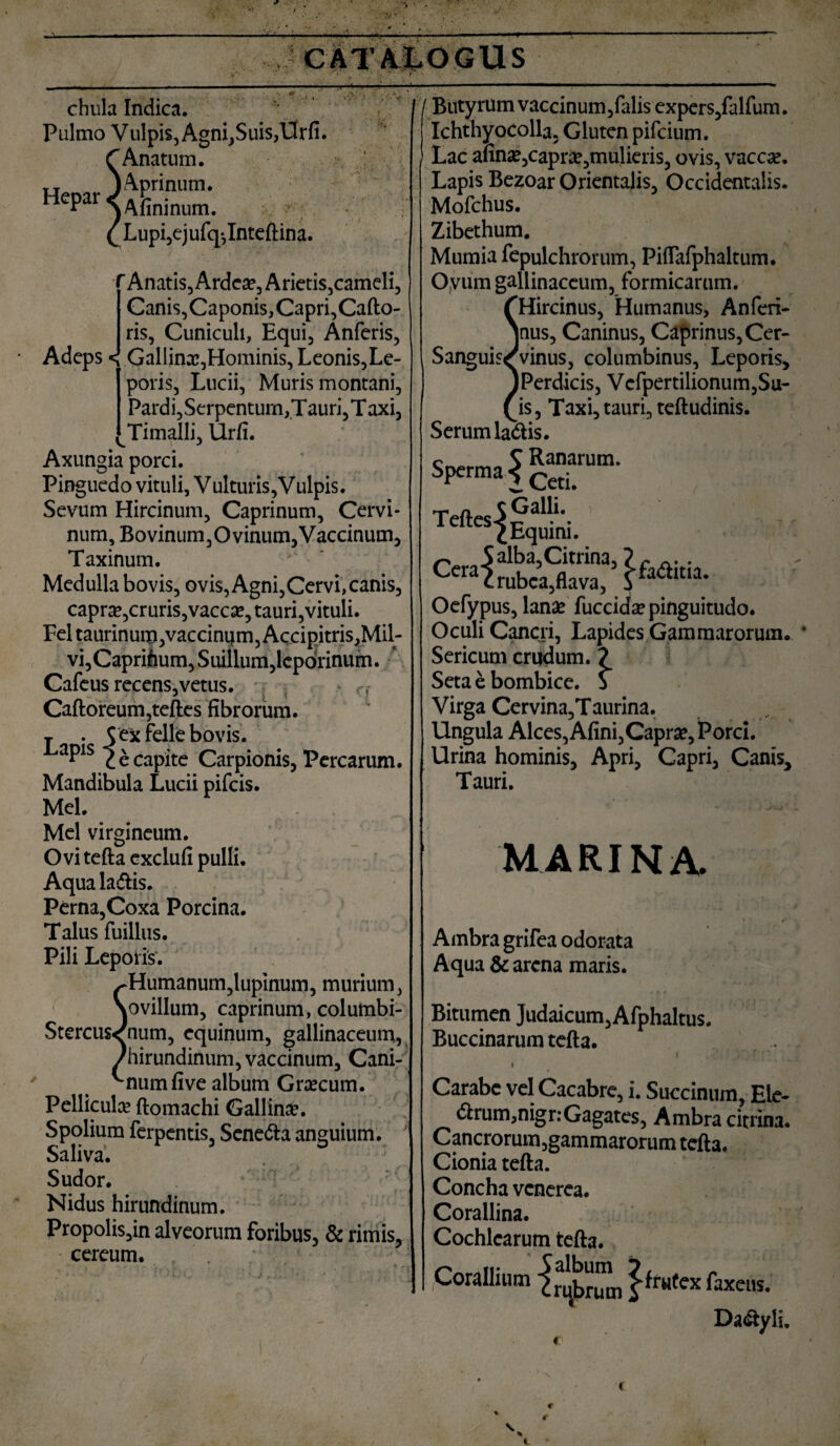 chiila Indica. Pulmo Vulpis, Agni,Suis,Urfi. ^Anatum. TT ) Aprinum. HePar VLnum. Lupi,ejufq*,Inteftina. < • * Adeps < Anatis, Ardea?, Arietis,cameli, Canis,Caponis,Capri,Cafto- ris, Cuniculi, Equi, Anferis, Gallina?,Hominis, Leonis,Le- poris, Lucii, Muris montani. Pardi,Serpenturn,Tauri,Taxi, Timalli, Urfi. Axungia porci. Pinguedo vituli, Vulturis,Vulpis. Sevum Hircinum, Caprinum, Cervi¬ num, Bovinum,Ovinum,Vaccinum, Taxinum. Medulla bovis, ovis, Agni,Cervi,canis, capra?, cruris,vacca?, tauri,vituli. Feltaurinum,vaccinum, Accipitris,Mil¬ vi,Caprilium, Suillum,leporinum. ■* Cafeus recens, vetus. Caftoreum,teftes fibrorum. j . S ex felle bovis. aPls 2 e capite Carpionis, Percarum. Mandibula Lucii pifeis. Mei. Mei virgineum. Ovi tefta exclufi pulli. Aqua laflis. Perna,Coxa Porcina. Talus fuillus. Pili Leporis. Humanum,lupinum, murium, ovillum, caprinum, colutnbi- Stercus^num, equinum, gallinaceum, 'hirundinum, vaccinum. Cani¬ num five album Gra?cum. Pellicula? ftomachi Gallina. Spolium ferpentis, Sene&a anguium. Saliva. Sudor. Nidus hirundinum. Propolis,in alveorum foribus, & rimis, cereum. /Butyrum vaccinum,falis expers, falfum. Ichthyocolla. Gluten pifeium. Lac afina?,capra?,mulieris, ovis, va eoe. Lapis Bezoar Orientalis, Occidentalis. Mofchus. Zibethum. Mumia fepulchrorum, Piflafphaltum. Oyum gallinaceum, formicarum. (Hircinus, Humanus, Anferi- Vus, Caninus, Caprinus, Cer- Sanguisrvinus, columbinus. Leporis, ^Perdicis, Vefpertilionum,Su- (is, Taxi, tauri, teftudinis. Serum ladis. c S Ranarum. SPcrma i Ceti. Teftes Galli. s £ Equini. Oefypus, lanae fuccida; pinguitudo. Oculi Cancri, Lapides Gammarorum. Sericum crudum. ? Seta e bombice. S Virga Cervina,Taurina. Ungula Alces, Afini,Caprae, Porci. Urina hominis, Apri, Capri, Canis, Tauri. marina. Ambra grifea odorata Aqua & arena maris. Bitumen Judaicum, Afphaltus. Buccinarum tefta. « Carabe vel Cacabre, i. Succinum, Ele- <51rum,nigr: Gagates, Ambra citrina. Cancrorum,gammarorum tefta. Cionia tefta. Concha venerea. Corallina. Cochlearum tefta. Corallium ^ rubrimi ^rH(ex faxeus. Dadtyli. C e