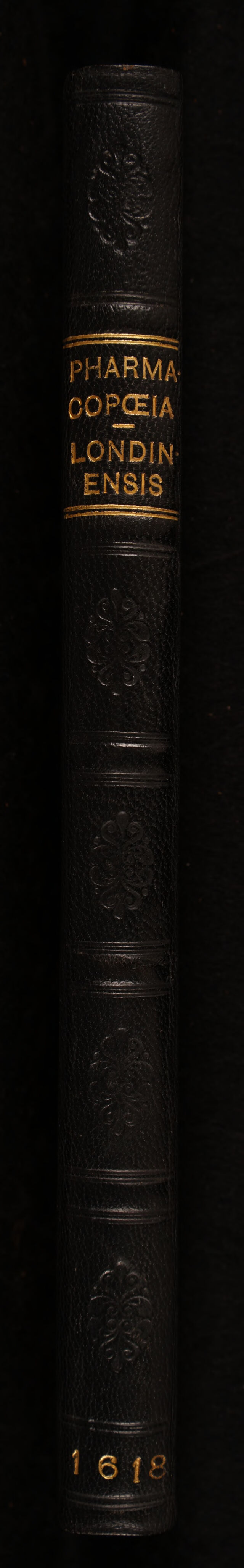 No text description is available for this image