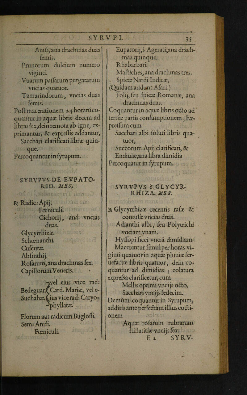 Anifi, ana drachmas duas (emis. Prunorum dulcium numero viginti. Vuarum pa (Tarum purgatarum vncias quatuor. Tamarindorum, vncias duas (emis. Poft macerationem 2.\ horaru co¬ quantur in aquas libris decem ad libras fex,dein remota ab igne, ex¬ primantur, & expreffis addantur, Sacchari clarincati libra quin¬ que. Percoquantur in (yrupum. Eupatorij,i. Agerati,ana drach¬ mas quinque. Rhabarbari. Maftiches, ana drachmas tres. Spicas Nardi Indica:, (Quidam addunt Afari.) Foli),feu (picas Romana^ ana drachmas duas. Coquantur in aquas libris odo ad tertias partis conlumptionem 3 Ex- prefliim cum Sacchari albi Toluti libris qua- tuor, Succorum Apij clarificati, & Endiuias,ana libra dimidia Percoquatur in (yrupum. SYRVPVS DE EVPATO- RIO. MES. • i V SYRVPVS £ GLYCYR- RHIZA .MES. Rc Radie: Apij. Foeniculi. Cichorij, and vncias duas. Glycyrrhizas. Schcenanthi. Culcutas. Abfinthij. Rofarum, ana drachmas (ex. Capillorum V eneris. ^vcl cius vice rad: Bedeguar/Card. Marias, vel e- SuchahasAius vice rad: Caryo- -'phyllara. Florum aut radicum Buglofli. Scm: Anifi. Fceniculi. R Glycyrrhizas recentis rafas 3c contufe vncias duas. Adianthi albi, (eu Polytrichi vnciam vnam. Hyflopi ficci vncia dimidiam. Macerentur fimul per horas vi¬ ginti quatuor in aquas pluuiasfer- uefedas libris quatuor, dein co¬ quantur ad dimidias ; colatura exprefsa clarificetur, cum Mellis optimi vncijs odo. Sacchari vncijs (edecim. Demum coquantur in Syrupum* additis ante perfedam illius codi- onem Aq uas rofarum rubrarum (lillatitias vncijs fex. i E z SYRV-