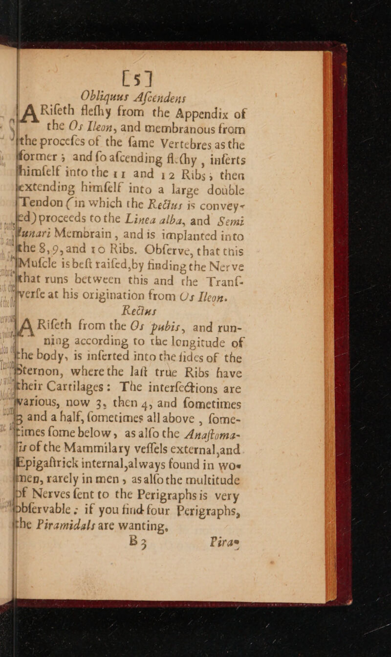 Ls] Obliquus Afcendens [ARieeh Pep y from the Appendix of the Os Tle m4, and membranous from ‘tthe oleic of the fame Vertebres as the former ; and fo a{cending flcthy , inferts himilelf into the II and 12 as &gt; then hextending Lee f Into a larg &gt; double | Tendon (in which the Reéfus is convey Ie d) proceed ds tothe ¢ Linea alba, and Semi Wanar i Memorain , andis implanted my geufrm ~\A AALEUD ‘he $,9,and 10 Ribs. Obferve. , that this in “$y, LS le a ns WMufcle IS D€it Talie G,0Y tind} ip gen le | Ne: VE ‘lee 1, —§ He as ? yenat runs oetween th 1S and ch &gt; bran ie aL ALi 4 erfe at h is ( rIZIN ina ation a from Os Lleon. Recius iA Rife th f om he Os pubis, and run- ning acct rat ig, to the longitude of the body, is inferted into the fides of the ‘ternon, where the lat true Ribs have their Cartilages: The interfe@ions are pepious, now 3, then 4, and fometimes 8 and a half, (ometimes ‘all above , fome- ies {ome Cale as alfo the Anaft oma- iis of che Mammilary veffels external ,and E-pigalirick internal,always found in wos men, rarely inmen, asalfothe multitude if Nerves fent to the Perigraphsis very Wpbfervable ; if you find four Perigraphs, tthe Piramidals are wanting. B 2 3 Pirae