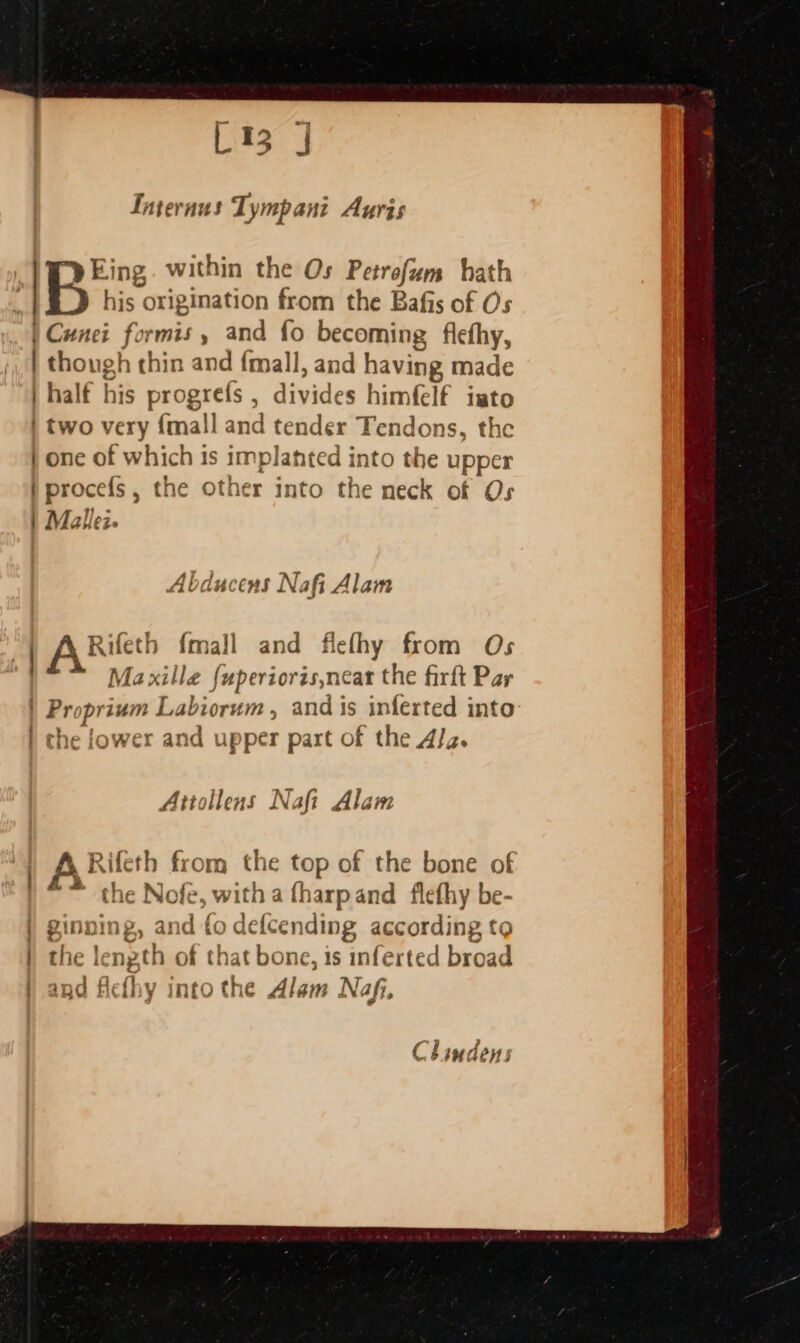 [13 J Tnternus Tympani Auris Eing within the Os Petrofum hath 4B: his origination from the Bafis of Os | Cunei formis, and fo becoming fiethy, ) though thin and {mall, and having made | halt his progres , divides himfelf iato | two very {mall and tender Tendons, the | one of which is implanted into the upper | procefs , the other into the neck of Os | Malez- Ab. aU ERS Nafi Alam | ARieth {mall and flefhy from Os Ma xille {uperioris,neat the firft Par | Proprium Labiorum , and is inferted into | the lower and upper part of the 4Jz. Attollens Nafit Alam Clindens