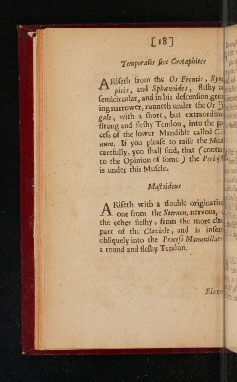 [18 | Temporalis five Crotapbites tis, and Sphanoides, fiethy &lt;ajynie femicixcular, and in his defcenfion greop as: ing narrower, ruancth under the Os Sj gale, with a fhort, but extraordimiy,, ftrong and fiefhy Tendon, into the phi, cefs of the lower Mandible called Cig uum, Wf you pleafe to raife the Muil carefully, you (hall find, that (contarijjs),. to the Opinion of {ome ) the Periofifhi,.. is under this Mufcle. A Bifeth from the Os Frontis , Syth, | P Maftoideus Rifeth with a double originaticd FX. one from the Sternon, nervous, i¢, the other Acthy, from the more cla, part of the Clavicle, and is infett} obliquely into the Proce{s Mammillary| a round and flefhy Tendon. |