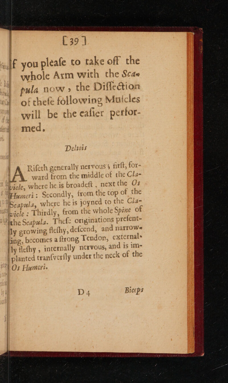 [39 | If you pleafe to take off the whole Axcm with the Scas oxla now » the Diflection fe following Muicles will be the eifiee perror- Deltois 7) fn Riieth gener ally nervous; firft, for- : 27907 } f TY? ; ra Cl a _ Ward 1Uiks the mi idle of the Cla- i y Ai broadeft . next the Os a wcll, where née is 4 ge PR } ‘ 6 ees Hum 22TL - rwd' onal v5 irom tne cop of the \® — * rT) : 1¢ \ 47 : on L, “5 oy : SCAPULA, WilCie h &amp; is joyned to tAe Cian | qi as el i 2 1 we Cc Licle: Thirdly, from the whole Spzne O% ‘ithe Scapula. Thefe originati ons prelent- ly growing ! flefhy, defcend, and narrowe external» Hing, becomes a itrong, Tendon, fly flefhy , intern ally” nervous, ‘and is im- lanted tranfverfly und er the neck of the Os Humeri. Biceps