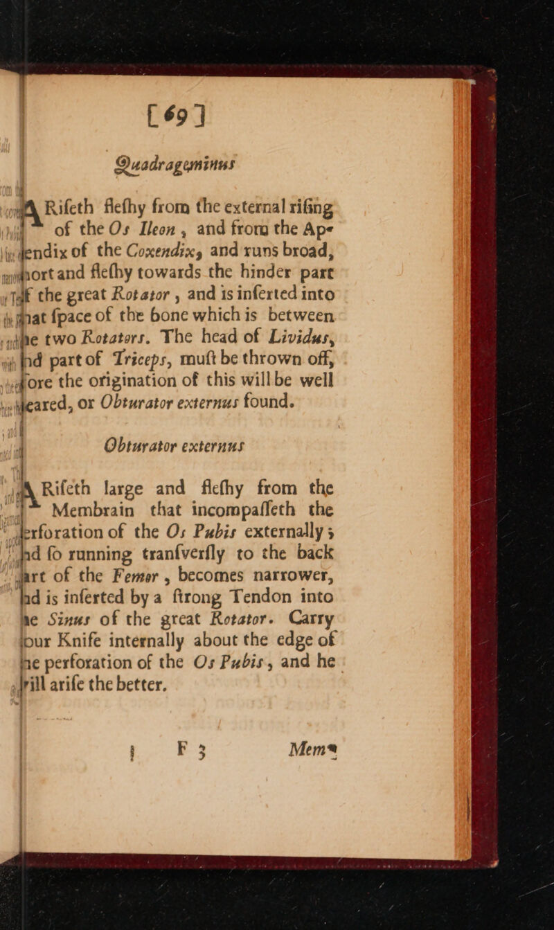 [69 ] Quadrageminus A Rileth fiefhy from the external rifing ii) Of the Os Ileon , and from the Ape ip dendix of the Coxendix, and runs broad, syanort and flefhy towards the hinder pare taf the great Rotator , and 1s inferted into .§nat {pace of the bone whichis between tae two Rotators. The head of Lividus, si {nd part of Triceps, muft be thrown off, hore the origination of this willbe well vepeared, Or Obturator externus found. 4 Obtur ator externus Jy Rifeth large and ficfhy from the .~ Membrain that incompaffeth the * Jerforation of the Os Pubis externally 5 nd fo running tranfverfly to the back dart of the Femor , becomes narrower, ha is inferted by a ftrong Tendon into he Sinus of the great Rotator. Carry jour Knife internally about the edge of ine perforation of the Os Pubis, and he irill arife the better. =
