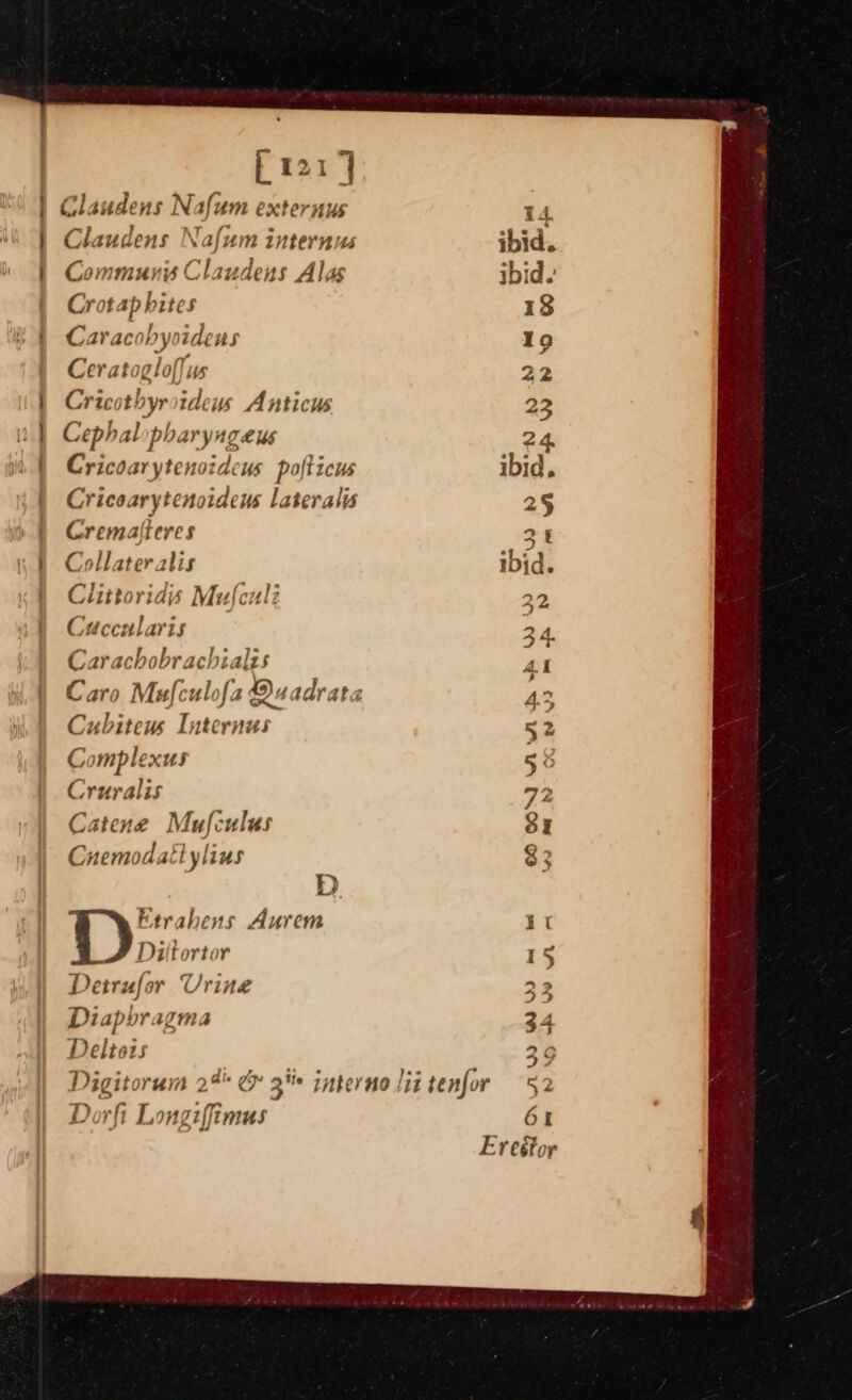 fr21] Claudens Nafum externus Claudens Nafum internus Commuris Claudens Alas Crot: ap bite s Caraci oby pidens Ceratog glof} ‘us Cricotbyr idews Anticus Cephalopharyngeus Cricoarytenoideus pofticus Cricoarytenoideus lateralis Cremafteres Collateralis Ciittoridi Mufculi Cuccularis Carachobrachial its Cubiteus Pealags, Complexus Cruralis Catene Mufculus Cuemodattylins 1?) Etrabens Aurem Diltortor Detrufor Urine Diapbragma Deltois Digitorum 24 Dorft L mgiffinens op 61 Ereétor