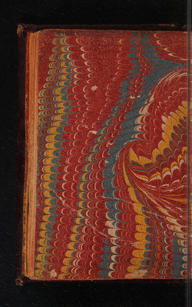 No text description is available for this image