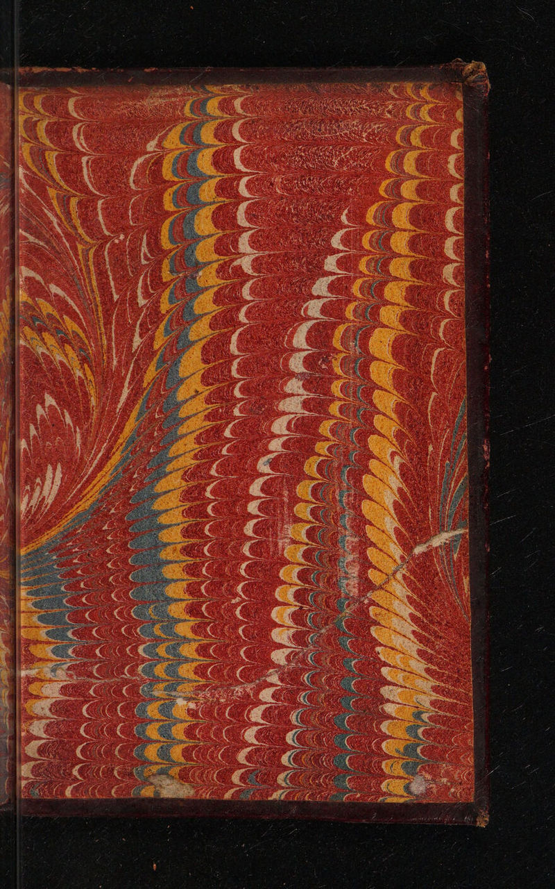 No text description is available for this image