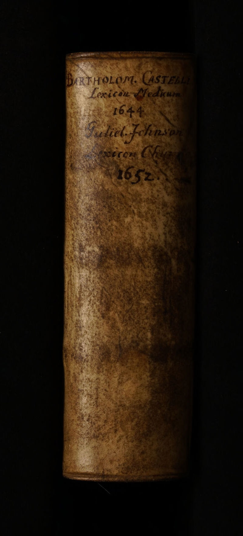 No text description is available for this image