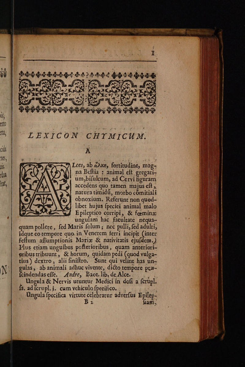  Bde dd bd qr droite $9t 1495 | oe, le e QV Lor hen WS Mw y Ju Spp pe qepiqe spi bes qepqqpp LEXICON CHTMICUM. A Lces, ab &amp;2uut, fortitudine, mag- n3 Beftia : animal eít. gregari- um,bifulcum, ad Cervi figuram accedens quo tamen majus eft natura timidü, morbo comitiali obnoxium. Referunt non quod- libet hujus fpeciei animal malo Epileptico corripi, &amp; feeminz: | . . ungulam hac facultate nequa- quam pollere, fed Maris folum; nec pulli, fed adulti, ídque eo tempore quo. in Venerem ferri incipit (inter feftum affumptionis Marix &amp; nativitatis ejufdem.) Plus etiam unguibus pofterioribus, quam anteriori- eribustribuunt, &amp; horum, quidam pedi (quod vulga- tius) dextro, aliifiniftro. Sunt qui velint has un- ulas , . ab animali adhuc vivente, dicto tempore pra- fcindendas effe. Andre, Dace. lib, de Alce. .            