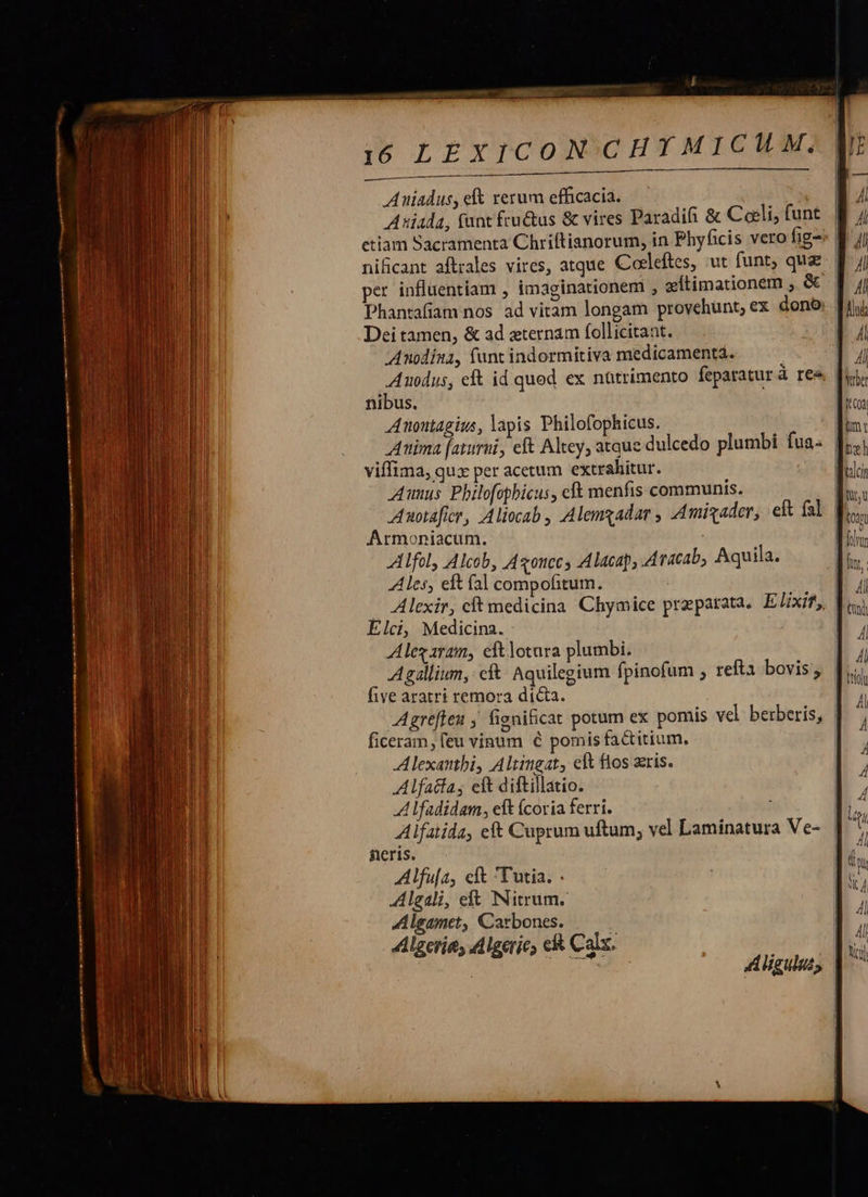 yo LE XTCON CHYMICILM.  Auniadus, eft rerum efficacia. Aniada, funt fru&amp;us &amp; vires Paradifi &amp; Coli, funt. | etiam Sacramenta Chriftianorum, in Phyficis vero fig: nificant aftrales vires, atque Coeleftes, ut funt, qua | per influentíam , imaginationem , zítimationem , &amp; | Phantafiam nos. ad vitam longam provehünt, ex dono: | Dei tamen, &amp; ad eternam follicitant. Anodína, funt indormitiva medicamenta. Auodus, eft id quod ex nütrimento feparatur à ree nibus. Anoutagius, lapis Philofophicus. | Anima [aturti, eft Altey, atque dulcedo plumbi fua | viffima, qux per acetum extrahitur. Anus Philofopbicus, cft menfis communis. Auotafice, Aliocab , Alemgadar , Amigader, eft fal Armoniacum. | Alfol, Alcob, Agonccs Alacap, A racab, Aquila. Ales, eft fal compofitum. | — Alexir, cft medicina. Chymice praeparata. Elixif,. | Elci, Medicina. | Alegaram, eftlotura plumbi. Agallium, cf Aquilegium fpinofum ; refta bovis; five aratri remora dicta. | Agrefteu , fienificat potum ex pomis vel berberis, | ficeram, feu vinum € pomis fa&amp;titium. | Alexantbi, Altingat, eft fos ris. Alfacta, eft diftillatio. A efadidam, elt fcoria ferri. Alfatida, eft Cuprum uftum, vel Laminatura Ve- neris. Alfufa, eft Tutia. : Algali, eft Nitrum. Algamet, Carbones. Algerie; Algerie, ci Colx.     