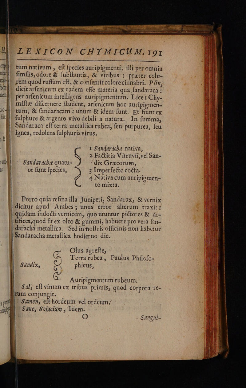                  LEXICON CHYMICMHM,. 191  tum nativum , elt fpecies auripigmenti, illi per omnia fimilis, odore &amp; fubftantia, &amp; viribus : prater colc- rem quod ruffum eft, &amp; confentitcolorecinnabri. Pin, dicit arfenicum ex eadem effe materia qua fandaraca : per arfenicum intellieens auripigmentum. Licet Chy- mifle diícernere ftudent, arfenicum hoc auripigmen- tum, &amp; fandaracam : unum &amp; idem (unt. Et fiunt ex fulphure &amp; argento vivo debili a natura. 1n fumma, Sandaraca eft terra metallica rubea, feu purpurea, fcu ignea, redolens fulphuris virus. ! 1 Saudaracha nativa, 2 Fa&amp;itia V itruvii,vel San- Sandaracbe quatu- dix Grxcorum, or funt fpecies, 3 imperfecte cocta. 4 Nativa cum auripigmen- to mixta. Porro quia refina illa Juniperi, Sandarax, &amp; vernix |dicitur apud Arabes; unus error alterum traxit: daracha metallica. Sed in noftris officinis non habetur i Sandaracha metallica hodierno dic.    Olus aerefte, Terrarubea, Paulus Philofo- phicus, ^ j VON      $audix, - / S PEDE $alj cft vinum ex irum conjungit. | Samen, eft hordeum vel ordeum; Sane, Soltcingm , Ydem. O Auripigmentum rubeum, tribus primis, quod Corpora te- éaugui-           