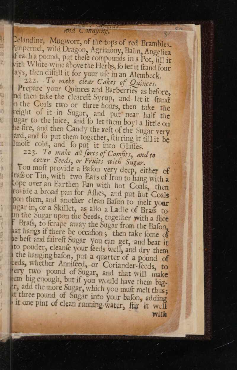 “ae ig “AF a Cc CAnay! a, el: indine, Magsror, of the tops of red Brambles. “Tne ? ree avon, Aer rimot IV, Bali Nn, Angeli 1ea t thele compo unds ina Pot t, All it with While wine: abcke sh Herbs, fo let it ftand four jays, then diftill it for your ul¢ inan Alembeck. | 222. .To make clear Cakes of | Quinces. Prepare \ your Quinc 5 arid Barbe: ind then take the cl ne Syrup, the Coals two or th ree tr] es as before, and. let it {ta nd hours, then take the peigut of it in Suge ir, and put ni ea r. half the jugar to the fuice, and fo oe n boy a little on he fire, and then Cand: ’ the reft of the Sugar very fard, and fo put them tog ether, f itirri ng it till it be ther moft cold, and fo ) put it into G tates: 223. Ts al te all forts of Comfits, and ta cover Seeds, or idea with Supar. | You muft provide a Bafon very de eep, either of prafs or Tin, with two Eat 's of iro to hang witha Rope over an Earthen i with hot Coals, then frovide a broad pan for Afhes, and put hot Coals on th em, and another clean Bal ion to melt your in, ora ie as allo a Ladle of Brafs to the Sugar upon the Seeds, toge: her with a flic F Brafs, to se away the Sus ar from the Bafon, T pat hangs if E ere be occafion ; “dhien take fome of ne beft and fair ireft § Sugar you can get, and beat it ito pouder, clea fe your feeds well, and dry them i the hanging gbafony put a quarter of a pound of keds, 1 vhether Annifeed l,-or Coriander-fec ‘ds, to (ery two pound of Sugar, and that will make tiem big enough, but if you would h lave them big- ir, add the more a i which you muft melt thuss #t three pound of Sugar into your bafon, adding h it one pint of clean Tunning, water, ftir’ it well” : | | with x