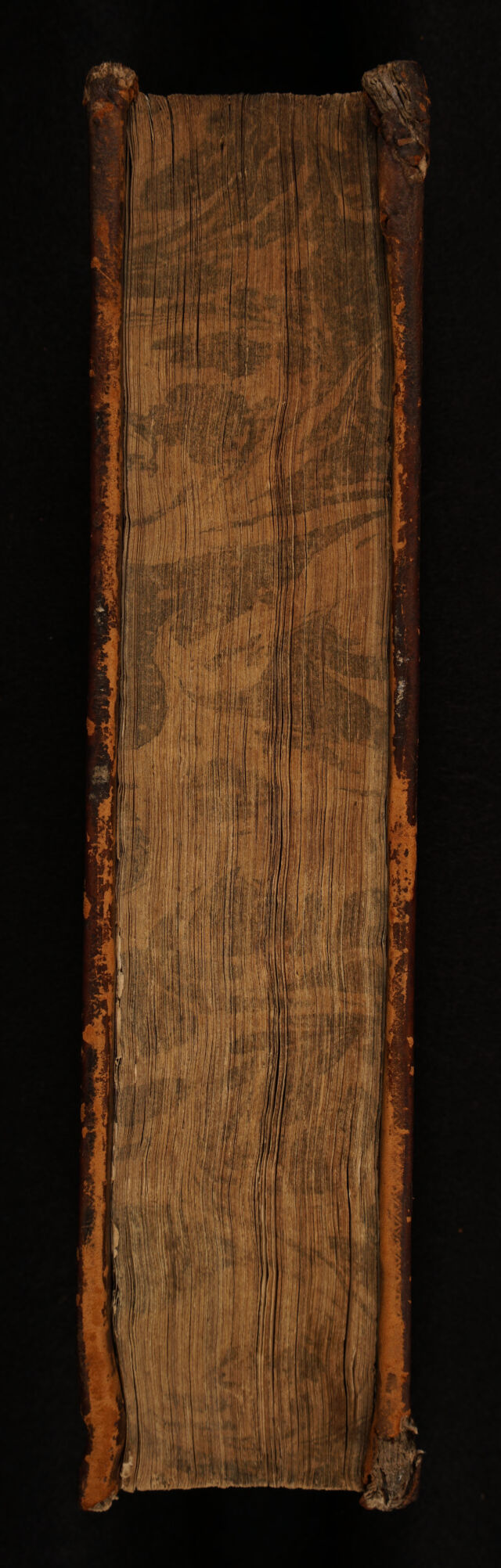 digitised image 3