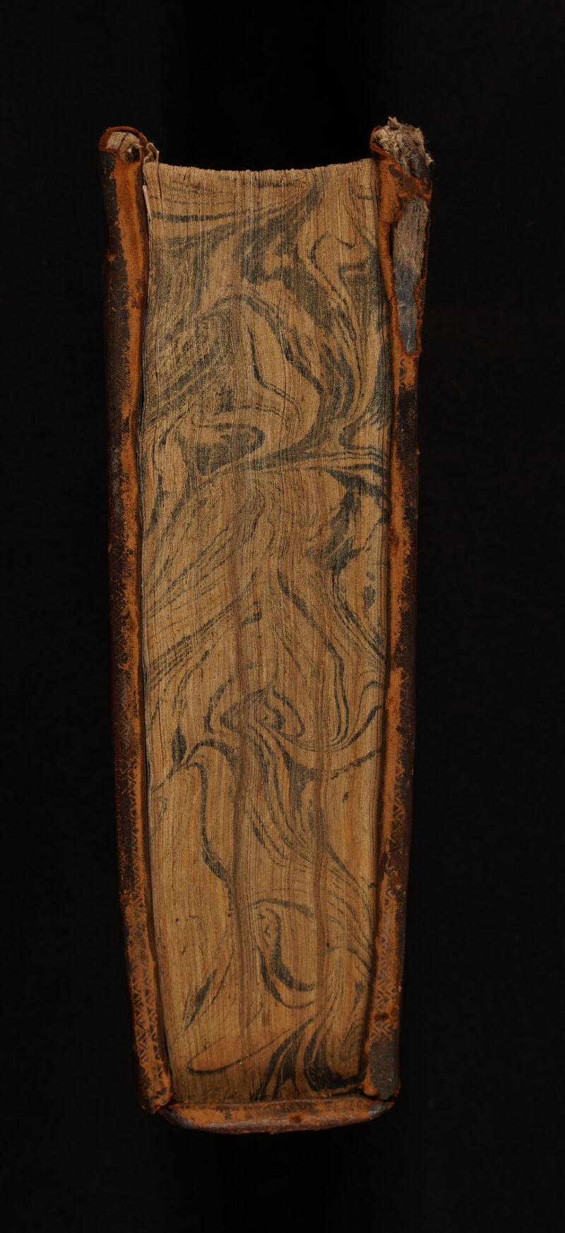 No text description is available for this image