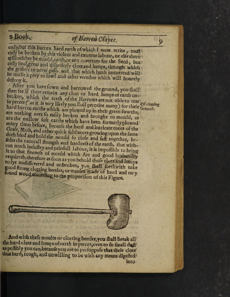 * lyjbut this barren hard earth of which! OIU r % only be broken by this violent and Will neither be niou!d,carth,or any onty fouljgrtar and difprderly cloi ^ ncvst paft and^that whichTyeth uncoir delkoy it. Pr£y C° f°Wl 3nd 0tkr Verml,le P* wil1 thence if°rffhaVef°1?rn 3nd harrowed the ground, ^ St 't -rr,n anyc,ots °r hard lump, in peece’s r asfr ^ te,£vh,°fthe Harrows are not abJ u P. h -* ^ lt i? ycry Hdy.jioii (hall perceive many} « JS “T hli$ r r|owtd »p in ti.d“S »SS3LT5S .“<* to*# » « fjjjjj u)>, > , niaules or clotting beetle&5ycu /hall break all the hard clots and lumps of earth in pecces,even to Co fmall d*ft as pcmbly you can,becau(eycu are to prcfuppofe that thele clots thus hard, tough, and unwilling to be with any means digefted snta