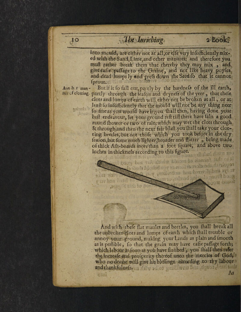 i io Ihe lunching a Book; r 1 ■ * “ *■'■■ ■ ■■ --- ■■■■ - :-f* into mould, are either not at all,or elfe very infufficiently n\ix*» ed with the SandjLime,and other manures: and therefore you muft rather break them that thereby they may mix , and, giveeafie paffageto the Graine, and not like heavy poyfes and dead lumps ly and prels down the Seed fo that it cannot i fprout. Anoh.r man- Bat if it £b fall out,paitly by the hardnef* of the ill earth, ncr cfclotting, partly through thefeafonand drynefs of the yeer, thatthdc clots and lumps of earth will either not be broken at all > or at baft io infufficiently that the mould will not be any thing neer fo tineas you would haveirjyou ffiall then, having done your Left endeavour, let your ground reft till there have fain a good round ffiower or two of rain:which may wet the clots through 8t througffiand then the next fair blaibyou ffiall take your clot¬ ting beetles, but not thofe which you took before in the dry fea(bn5butforne much lighter ^broader and flatter , being made of thick Afh-boards more than a foot fquare, and above two inches in thicknefs according to this figure. And with theie flat maules and beetles, yon ffiall break all the unbroken clots and lumps of earth which ffiall trouble or annoy your ground, making your Lands as plain and tmooth as is poftible, fo that the gnun may have caftepafTagc forth; which labour as foon as you have finiffied, you ffiall then refer the increafe and proiperky thereof unto the mercies of God, who no doubt will give his bjeffings according to thy labour andthankfalnefs. ;• -v;-; As ■v