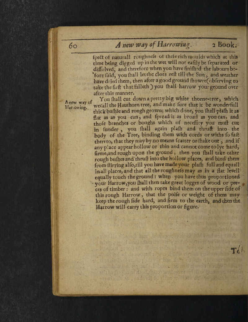 fpeft ot natural! roughnefs ot thde rich moulds which at this time being digged up in the wet will not eafily be feparated or diflolved, and therefore when you have finiftrd the labours be¬ fore (aid, you (hall letthe clots reft till the Sun, and weather have dried them, then after a good ground fhowre(obferving to take the firft thatfalleth ) you fhali harrow your ground over after this manner. A /. You fhali cut down a pretty big white thorne-tree, which HiriowTnJ ° wecall the Hauthorn tree, and make fure that it be wonderfull * ga' thick buftiie and rough grown; which done, you fhali plafh it as flat as as you can, and fpread it as broad as you can, and thofe branches or boughs which of necefilty you muft cut In funder , you fhali again plafh and thruft into the body of the Tree, binding them with cords orwithsfofaft thereto, that they may by no means fcatter or ftiake out, and if anyplace appear hollow or thin and cannot come to lye hard, fimie,and rough upon the ground 5 then you fhali take other rough bufhes and thruft into the hollow places, and bind them from ftirring alfo,tiil you have made your plafh full and equall sn ail places, and that all the roughnefs may as in a flat levell equally touch the ground: when you have thus proportioned ' your Harrow,you fhali then take great logges of wood or pee- ces of timber: and with ropes bind them on the upper fide of this rough Harrow, that the poife or weight of them may keep the rough fide hard, and firm to the earth, and then the Harrow will carry this proportion or figure r L]