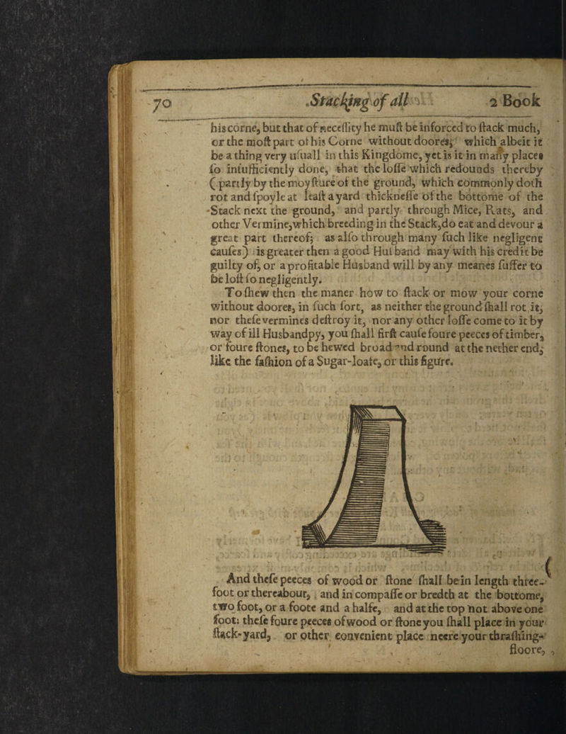 / JO V * \ / .Stacking of all > 2 Book hiscorne, but that of neceflity he mu ft be inforccci to ftack much, or the molt part ot his Corne without door^s^ which ^albeit it be a thing very ufuall in this Kingdome, yetis it in maify placet io intufficiently done, that the Ioffe which redounds thereby ( partly by the moy fture of the ground, which commonly doth rot and lpoyle at kaftayard thickneffe of the bottome of the •Stack next the ground, and partly through Mice, Rats, and other Vermine,which breeding in the Stack,do eat and devour a great part thereof; as alfo through many fuch like negligent caufes) is greater then a good Hul band may with his credit be guilty of, or a profitable Husband will by any meanes fuffer to be loft io negligently. Tofhewthen the maner howto ftack or mow your come without doores, in fuch fort, as neither the ground fhall rot it, ftor thefe vermines deftroy it, nor any other Ioffe come to it by way of ill Husbandpy, you (hall firft caufefoure peeccs of timber3 or foure ftoncs, to be hewed broad ?nd round at the nether end^ like the fafhion of a Sugar-Joate3 or this figure* And thefe peeces of wood or ftone fhall bein length three- V foot or thereabout . and in compaffe or bredch at the bottome, two foot, or a footc and a halfe, and at the top not above one foot: thefe foure pceces of wood or ftone you fhall place in your ftack-yard5 or other convenient place neere your tbraftiing- 1 Y . floo.re, ^