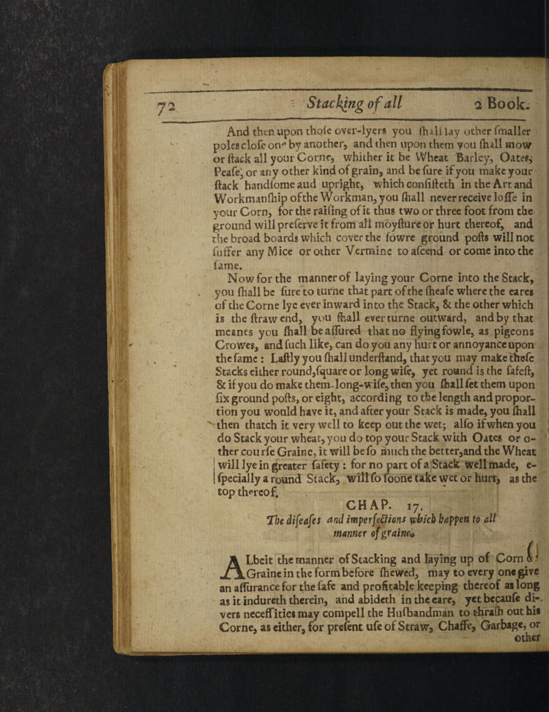 ' Stacking of all a Book. And then upon thole over-iyers you fhili lay other fmaller poles clofe onp by another, and then upon them you Hull mow or (lack all your Corne, whither it be Wheat Barley, OateSj Peafe, or any other kind of grain, and be lure if you make your ftack handiome and upright, which eonlilfcth in the Art and Workmanlliip ofthe Workman, you (hall never receive Ioffe in your Corn, for the raifing of it thus two or three foot from the ground will preferve it from all moyfture or hurt thereof, and the broad boards which cover the fowre ground polls will not (offer any Mice or other Vermine toafcend or come into the lame. Now for the manner of laying your Corne into the Stack, . you fhall be fure to turne that part of the fheafe where the eares of the Corne lye ever inward into the Stack, 8t the other which is the ftraw end, you fhall ever turne outward, and by that mesnes you fhall be allured that no flying fowle, as pigeons Crowes, and fuch like, can do you any hurt or annoyance upon thefame : Laftly you fhallunderlfand, thatyou may make thefe Stacks either round,fquare or long wife, yet round is the fafeft, 8t if you do make themdong-wife, then you Qiallfet them upon fix ground polls, or eight, according to the length and propor¬ tion you would have it, and after your Stack is made, you Hull 'then thatch it very well to keep out the wet; alfo if when you do Stack your wheat, you do top your Stack, with Oates or o- ther courfe Graine, it will be fo much the better,and the Wheat | will lye in greater fafety : for no part of a Stack well made, e- Upeciallyaround Stack, will fo foone take wet or hurt, as the top thereof. CHAP. 17. The difeafes and imperfedions which happen to all manner of graine<> ALbeit the manner of Stacking and laying up of Comb? Graine in the form before Ihcwcd, may to every one give an aflurance for the fafe and profitable keeping thereof as long as it indureth therein, and abideth in the care, yet bccaufe di¬ vers neceffities may compell the Hufbandman to thralh out his Corne, as cither, for prefent ufe of Straw, ChafFe, Garbage? or other