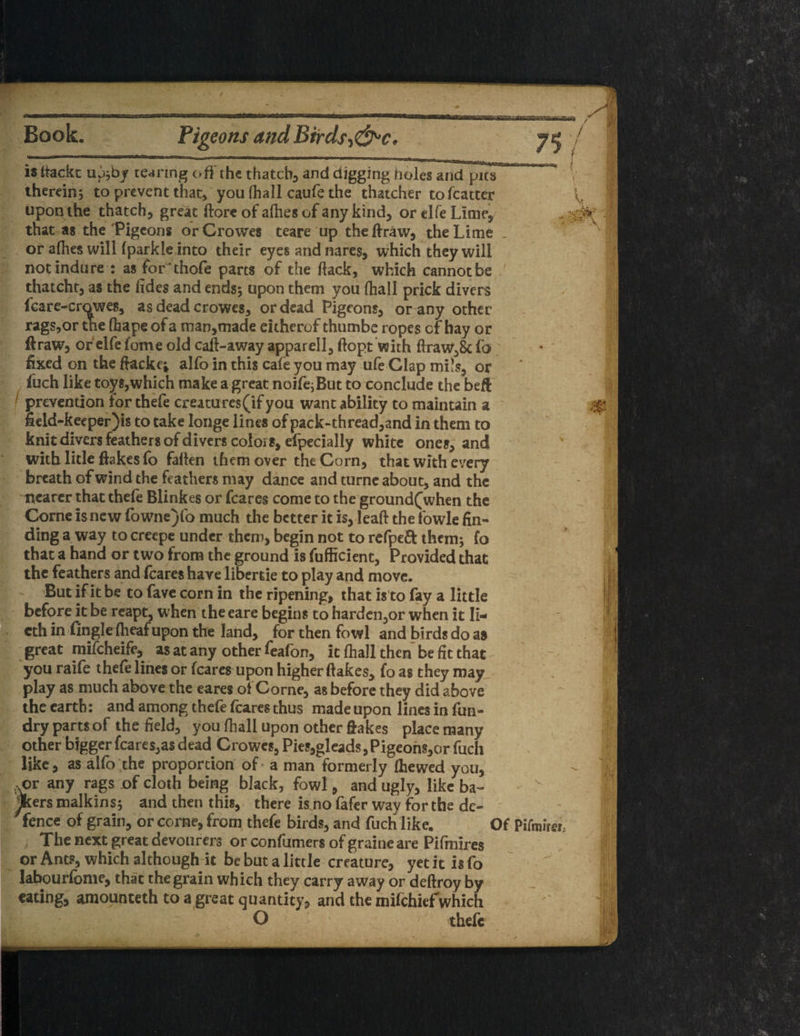 Book. Pigeons and Birds^c, is liackt u o;by tearing off the thatch, and digging holes and pics therein; to prevent that) you (hall caufe the thatcher tofcatter upon the thatch, great ftorc of allies of any kind, or elfe Lime, that as the Pigeons or Crowes teare up theftraw, the Lime . or allies willfparkle into their eyes and nares, which they will notindure : as for’thofe parts of the flack, which cannot be thatcht, as the fides and ends; upon them you Ihall prick divers fcare-cmwes, as dead crowes, or dead Pigeons, or any other rags,or the fbapeofa man,made eitherof thumbe ropes cf hay or ftraw, or elfefome old cafl-away apparell, ftopt with ftraw,&; fo fixed on the fiacke* alfo in this cafe you may ufe Clap mils, or fuch like toys,which make a great noifqBut to conclude the beft prevention lor thefe creatures (if you want ability to maintain a field-keeper)is to take longe lines of pack-thread,and in them to knit divers feathers of divers colors, efpecially white ones, and with litle Hakes fo fallen them over the Corn, that with every breath of wind the feathers may dance and turne about, and the nearer that thefe Blinkes or fcares come to the ground(when the Corne is new fowne)fo much the better it is, leaf! the fowle fin¬ ding a way to creepe under them, begin not to refpeft them; fo that a hand or two from the ground is fufficient, Provided that the feathers and fcares have libertie to play and move. - But if it be to favc corn in the ripening, that is to fay a little before it be reapt, when theeare begins to harden,or when it Ii* cth in fingle Iheaf upon the land, for then fowl and birds do as great mifeheife, as at any other feafon, it Ihall then be fit that you raife thefe lines or fcares upon higher flakes, fo as they may play as much above the cares of Corne, as before they did above the earth: and among thefe fcares thus made upon lines in fun- dry parts of the field, you fhall upon other ftakes place many other bigger fcares,as dead Crowes, Pies,gleads, Pigeons,or fuch like, as alfo the proportion of a man formerly die wed you, -x>r any rags of cloth being black, fowl, and ugly, like ba¬ nkers malkins; and then this, there is.no fafer way for the de¬ fence of grain, or corne, from thefe birds, and fuch like. Of , The next great devourers or confumers of graine are Pifmires or Ant?, which although it be but a little creature, yet it is fo labourfome, that the grain which they carry away or deftroy by eating, amounteth to a great quantity, and the mifchiefwhich O ' thefe