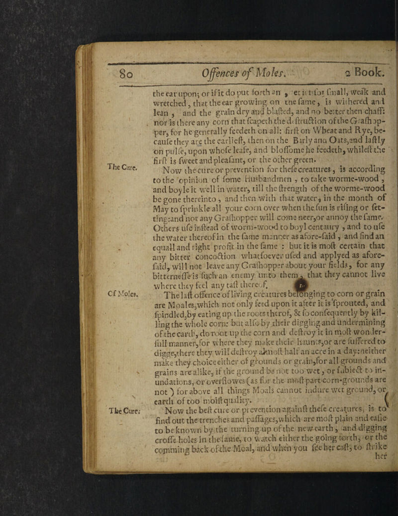 / 8o The Cwre. Of Moles. The Cure; Offences of Moles. Book. theear uporq or if it do put forth an ) ecunto* (mall, weak and wretched , that the ear growing on tnefame, is withered and lean , and the grain dry and blafted, and no better then chaff: nor is there any corn that fcapeth the dtftru&ion of the Grafh up¬ per, for he generally feedeth cn all: firft on Wheat and Rye, be- caule they are the earlieft, then on the Barly aria Oats,and laftly on pulfe, upon whefe leafe, and bloffome he feedeth, whileft the firft is fweet and pleafant, or the other green. Now the cure or prevention for thefe creatures, is according to the opinion cf fome Husbandmen , to take wormc-wood , and boyle it well in water, till the ftrength of the worme-wood be gone thereinto , and then with that water, in the month of May to fprinkle all your corn over when the fun is rifing or fet- tins rand not any Grafliopper will coma ncer,or annoy the fame. Others ufe in ftead of worm-wood to boyl centaury ? and to ufe the water thereof in the fame manner asafore-faid , and find an cquall and right profit in the fame : butitismoft certain that any bitter conco&ion whatsoever ufed and applyed as afore- laid, will not leave any Grafliopper about your fields, for any bktrowflfids fuchan enemy unto chern^ that they cannot live where they feel any tail thereof, The laft offence of living creatures belonging to corn or grain are Mpales,which not only kid upon it after it isTprouted, and fpindledjby eating up the roots thcrof, & foconfequently by kil¬ ling the whole corn: but aliobyjtheir digging and undermining of the caith, do root up the corn and deftroy it in moft wonder- full manner,for where they make their h aun:?,or are fullered to digge,there they willdeftroy aknoft half an aci;e in a day: neither make they choice either of grounds or grain,ft>r all grounds and grains are alike, if the ground be not too wet, or fabieft to in¬ undations, or overflowes (as for the moft part corn-grounds are not for above all things Moals cannot indure wet grcund,oi\ earth of too moift quality. _ .- \ Now the beft cure or prevention a gain ft thefe creatures; is to' find out the trenches and paflages, which are moft plain and eafie to be knowm by the turning up or the new earth, and digging croffe holes in the lame, to watch either the going forth, or the coinrning back ofcthe Moal, and when you fde her caft, to fti ike