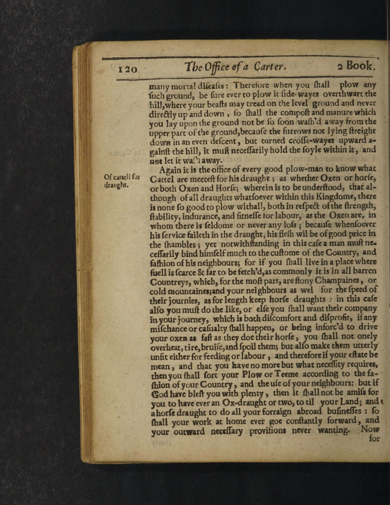 r t L'W\ I 20 V. Ofcatiellfor draught. The Office of a Carter. Book. many mortal difeafes: Therefore when you fhall plow any fuch ground^ be fare ever to plow it fide-wayes overthwart the hill,where your beafts may tread on the level ground and never direftly up and down , fo (hall the compoft and manure which you lay upon the ground not be fo loon wafh’d away from the upper part of the ground,becaufe the furrows not lying ftreight down in an even defeent, but turned crofie-wayes upward a- gainft the hill, it muft neceflarily hold the foyle within it, and not let it wafh away. Again it is the office of every good plow-man to know what Cattel are meeteft for his draught; as whether Oxen or horfe*, or both Oxen and Horfe; wherein is to beunderftood, that al¬ though of all draughts whatsoever within this Kingdome, there is none fo good to plow withall, both in refped of the ftrength, ftability, indurancc, and fitneffe lor labour, as the Oxen are, in whom there i* feldome or never any lofs; becaufe whenfoever his fervice faileth in the draught* his flefti wil be of good price in the ffiamblcs 5 yet notwithftanding in this cafe a man muft nc- ceffarily bind himfelf much to the cuftome of the Country, and fafhion of his neighbours; for if you fhall live in a place where fuell is fcarcc 8c far to be fetch’d,as commonly it is in all barren Countreys, which, for the raoft part, are ftony Ghampaines, or cold mountaines;and your neighbours as wcl for the fpeed of their journies, as for length keep horfe draughts : in this cafe alfo you muft do the like, or elfe you fhall want their company in your journey, which is both difeomfort and dif profit, if any mifehanee or cafualty fhall happen9 or being inforc’d to drive your oxen as faft as they doc their horfe, you (hall not onely overheat, tire,bruife,and fpoil them, but alfo make them utterly unfit either for feeding or labour, and therefore if your eflate be mean, and that you have no more but what neceffity requires, then you (hall fort your PloworTeeme according to thefa- (hion of your Country, and the ufc of your neighbours: but if God have bleft you with plenty 5 then it fhall not be amifsfor you to have ever an Ox-draught or two, to til your Land * and t a horfe draught to do all your forraign abroad bufineffes : fo (hall your work at home eve? goe conftantly forward, and your outward neccffary provisions never wanting* Now