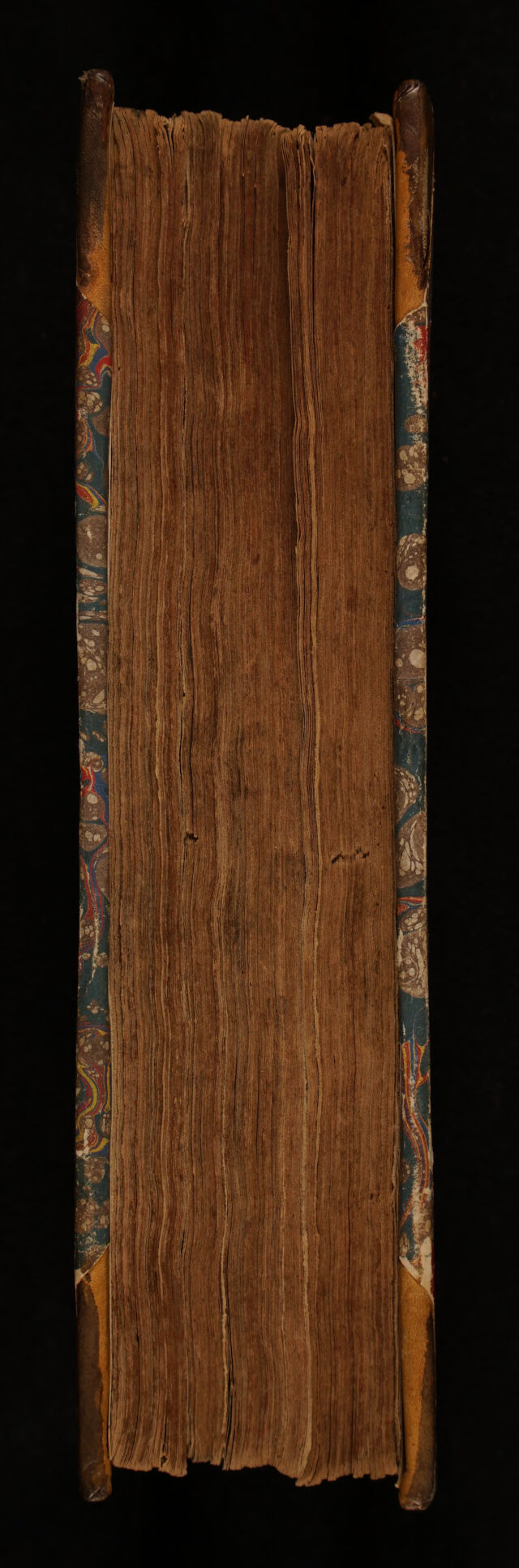 No text description is available for this image