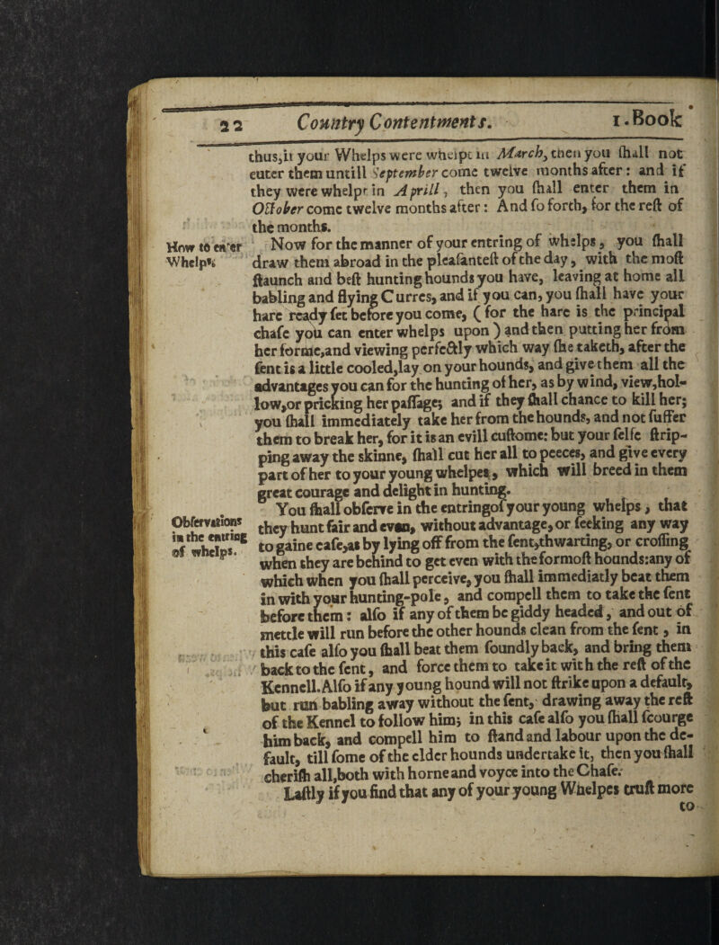 'll, ^ u 22 Country Contentments. I.Book Hnw W either Whelp’s ObferviSlons m the entrioe whelps* thuSjii your Whelps were whv;ipc ill A^arch^tncnyoii (hall not eutcr them untill come twelve months after: and it they were whelpt in AfYill^ then you (hall enter them in OMer come twelve months after: And fo forth, for the reft of the month*. ^ Now for the manner of your entring of whelps, you (hall draw them abroad in the pleafanteft of the day, with the moft ftaqnch and beft hunting hounds you have, leaving at home all babling and flying Curres, and if you can, you (hall have your hare ready fet before you come, ( for the hare is the principal chafe you can enter whelps upon ) and then putting her frdm her foriUe,and viewing perfcftly which way (he taketh, after the fent it a little cooled,lay,on your hounds, and give them all the Advantages you can for the hunting o( her, as by wind, vicw,hoI* low,or pricking her palTage; and if they (hall chance to kill her; you (hall immediately take her from the hounds, and not (iiffer them to break her, for it is an evill cuftome: but your felfe ftrip- ping away the skinne, (hall cut her all to peecra, and give every part of her to your young whelpe*, which will breed in them great courage and delight in hunting. You fliall obferve in the entringol your young whelps, that they hunt fair and evu, without advantage,or feeking any way to gaine cafe,as by lying off from the fent,thwarting, or cro(fing when they are behind to get even with theformoft hoands:any of which when you (hall perceive, you ftiall immediatly beat them in with your hunting-pole, and compell them to take the fent before them; alfo if any ofthem be giddy headed, and out of mettle will run before the other hounds clean from the fent, in this cafe alfo you ftall beat them foundly back, and bring them back to the fent, and forcethemto takeit with the reft of the Kennell. Alfo if any young hound will not ftrike upon a default, but run babling away without the fent, drawing away the reft of the Kennel to follow him; in this cafe alfo you (hall fcourge him back, and compell him to ftand and labour upon the de¬ fault, till fomeofthc elder hounds undertake it, then you (hall cherift all,both with home and voyce into the Chafe.- Laftly if you find that any of your young Whelpct truft more