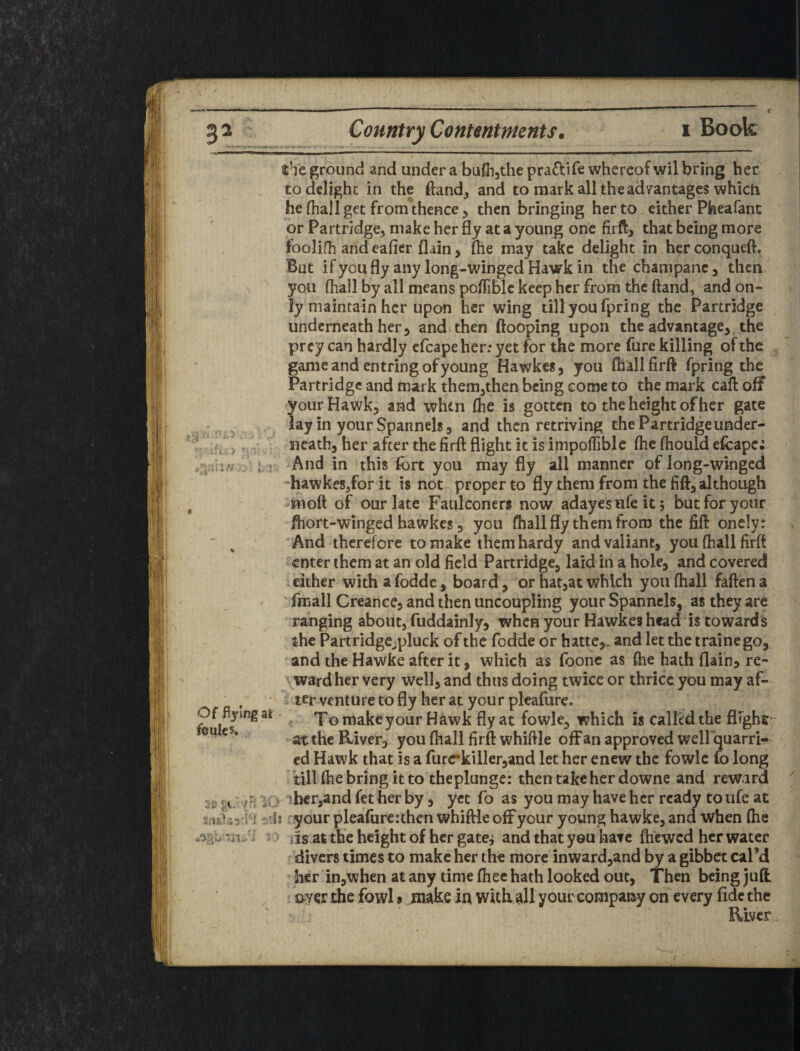 I r tVe ground and under a buflijthe praftife whereof wil bring her ; to delight in the ftand, and to mark all the advantages which i he (hall get fromthence 5 then bringing her to, either Pheafanc j or Partridge, make her fly at a young one firft, that being more fbolifh and eafler flain, flie may take delight in her conqueft. But if you fly any long-winged Hawk in the champanc 5 then i N you (hall by all means poffiblc keep her from the (land, and on- ^ j ly maintain her upon her wing till you fpring the Partridge ^ underneath her5 and then ftooping upon the advantage,, the prey can hardly efcape her: yet for the more fure killing of the game and entring of young Hawke*, you (hallfirft fpring the Partridge and mark themjthen being come to the mark caft off your Hawk, and when (he is gotten to the height of her gate lay in your Spannels 5 arid then retriving the Partridge under- ^ neath, her after the firft flight it is impoffiblc (he (hould efcape^ h I t And in this fort you may fly all manner of long-winged hawkeSjforit is not proper to fly them from the fift, although moft of our late Faulconers now adayesufeitj but for your ftiort-winged hawkes 3 you fhall fly them from the fift oncly: ' ^ And therefore to make them hardy and valiant, you (hall firfE enter them at an old field Partridge, laid in a hole, and covered cither with a fodde, board, or hat,at which you fhall fallen a ' ' fmall Creance, and then uncoupling your Spanncls, as they arc ^ ranging about, fuddainly, when your Hawkes headis towards the Partridge^pluck of the fodde or hatte,. and let the traine go, and the Hawke after it, which as foonc as (he hath flain^ re¬ ward her very well, and thus doing twice or thrice you may af- , ter venture to fly her at your pleafure. Of Hying ar To make your Hawk fly at fowle, which is called the flighr at the Bliver, you fhall firft whiffle off an approved wellquarri* cd Hawk that is a furrkillerjand let her enew the fowle fo long till (he bring it to theplungc: then take her downe and reward ^ vj /r? jC' ’her,and fet her by, yet fo as you may have her ready to ufe at -j'ii your pleafure:thcn whiffle off your young hawke, and when (he T jis at the height of her gate^ and that yeu hate ftiewcd her water divers times to make her the more inward,and by a gibbet cal’d ‘ her in,when at any time fhee hath looked out. Then being jud over the fowl a make in with all your conipamy on every fide the River