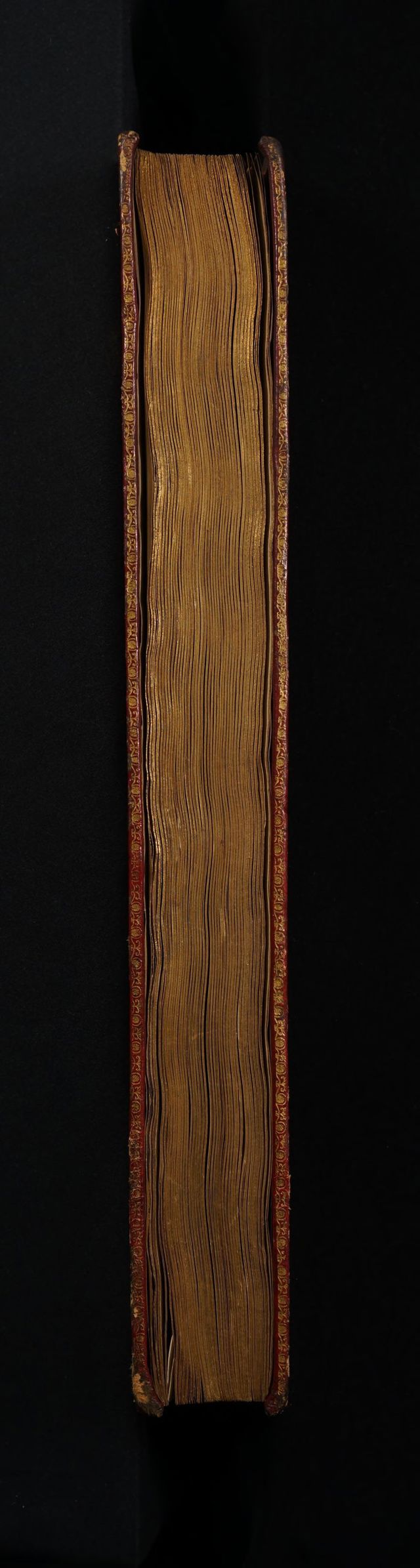 digitised image 3
