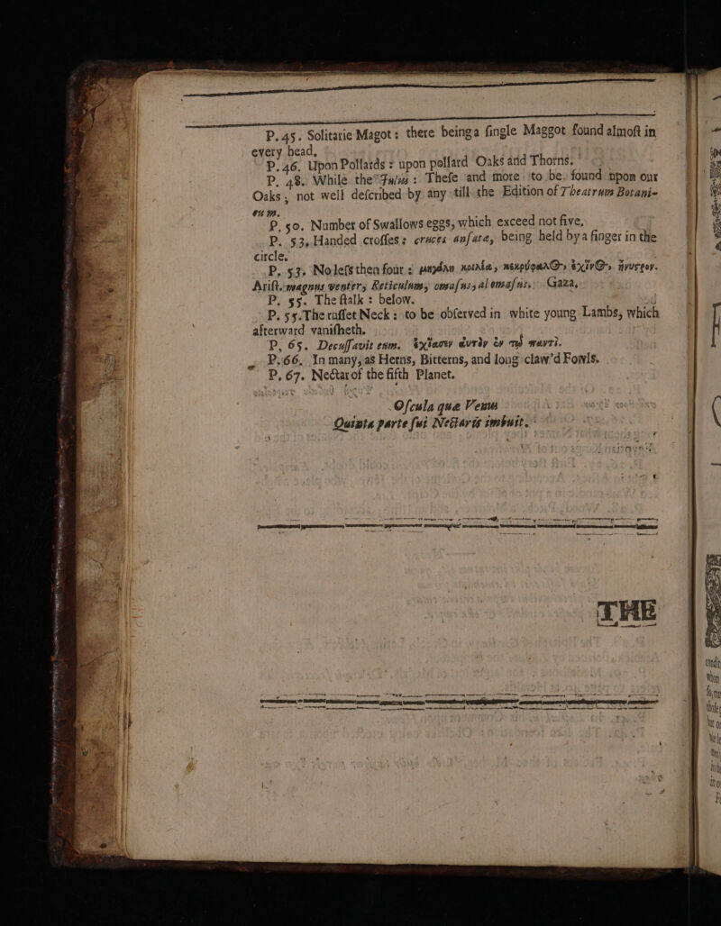 P. 45. Solitarie Magot: there beinga fingle Maggot foundalmoftin || = every head, | | | P46. Upon Pollards = upon pollard Oaks and Thorns. | om P, 48. While. the” Fa/z : Thefe and more ‘to be. found npor our pj) Oaks, not well defcribed by. any till the Edition of Theatrum Botani- | wi a : . 50. Number of Swallows eggs, which exceed not five, |e ape | P. 53,Handed croffess eraces anfate, being held bya finger in the | , circle. : P,.53. Nole(sthen four ¢ pmdan xoiala,, nexpdoarn@s ex tvG-, tivuseor. ce | Arift.magnns venter, Reticulam, omafns, al emafus. Gaza, a P. 55. The ftalk : below. ait &gt; P. 55. The ruffet Neck: to be obferved in white young Lambs, which || | afterward vanifheth. a P, 65. Decuffavit eam. txiaow avriy ms weyri. AL). | _ P66, In many, as Herns, Bitterns, and long \claw’d Fowls. 8. P, 67. Nectarof the fifth Planet. Ofcula que Vewu S08 ye ( Quinta parte fui Nettarts wmbutt. , ~~-- - A terre tg oe a mgs ee Sea pny Were it AERIS S FREER peat an Se Seed EZ eS ro Lommel oad ene a ee | rE z | monde i | on SF al TIER Ally ll eraain Naame ROLE RACER a a oe oes UN, a ~~ | fh ny ii i am rate aes NS et Nd Seianapegiaeas: =A Ror NTI tr aoe SHEE aoa ‘a ' Uf H . i Mito er | Bs ae | 3 i | Nt