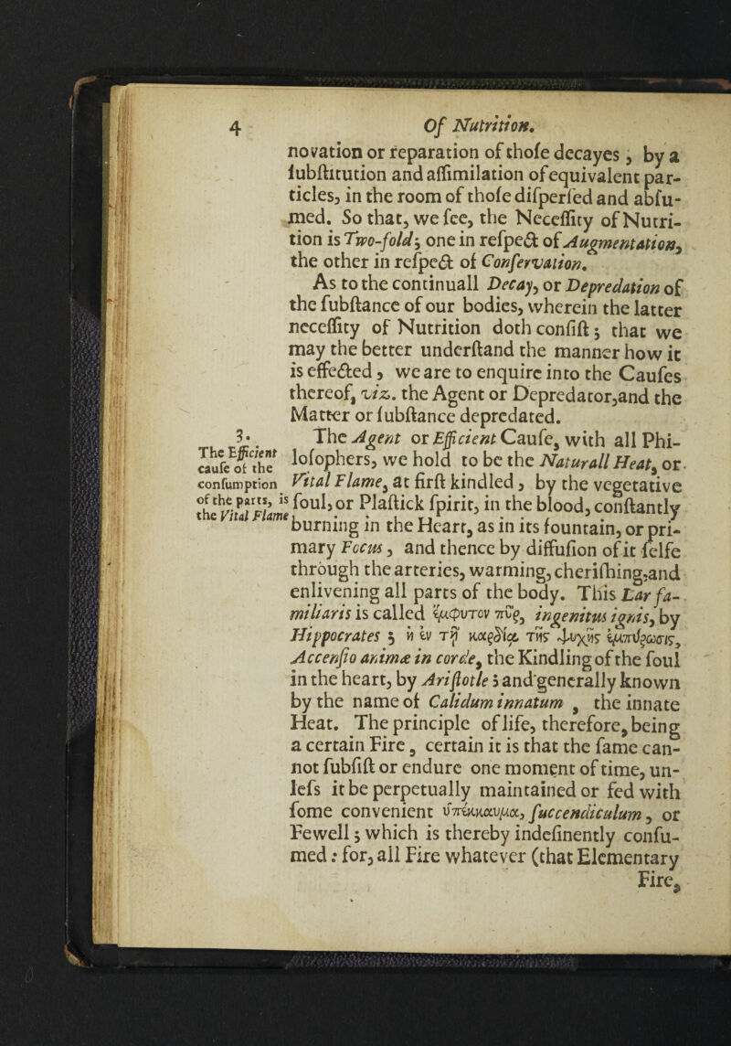 novation or reparation of thofe decayes, by a iubftitution andaflimilation of equivalent par¬ ticles, in the room of thofe difperfed and abfu- med. So that, we fee, the Neceflity of Nutri¬ tion is Two-fold i one in refpeft of Augmentation, the other in refped of Oonfervaiion. As to the continuall Decay, or Depredation of the fubftance of our bodies, wherein the latter neceflity of Nutrition doth confift that we may the better underftand the manner how it is effc&ed, we are to enquire into the Caufes thereof, viz. the Agent or Depredator,and the Matter or fubftance depredated. Tho Agent or Efficient Cau(c, with all Phi- estreat the' lofophers, we hold to be the Naturall Heat, or. confumption Vital Flame, at firft kindled, by the vegetative ,foul5.or Plaf!ickufPirir’ in.the blood> cpnftantly burning in the Heart, as m its fountain, or pri¬ mary Focus, and thence by diffufion of it felfe through the arteries, warming, cherifhing,and enlivening all parts of the body. This Lar fa- mi liar is is called ^aepurev 7rC’^ ingenim ignis, by Hippocrates 5 w tv m$\ct thst ^t^ghtis^ Accenfio animee in cor ole, the Kindling of the foul in the heart, by Ariffotle 5 and generally known by the name of Caliduminnatum , the innate Heat. The principle of life, therefore, being a certain Fire, certain it is that the fame can¬ not fubfift or endure one moment of time, un- lefs it be perpetually maintained or fed with fome convenient tiimmvpoL, fuccendiculum, or Fewell s which is thereby indefinently confir¬ med ; for, ail Fire whatever (that Elementary