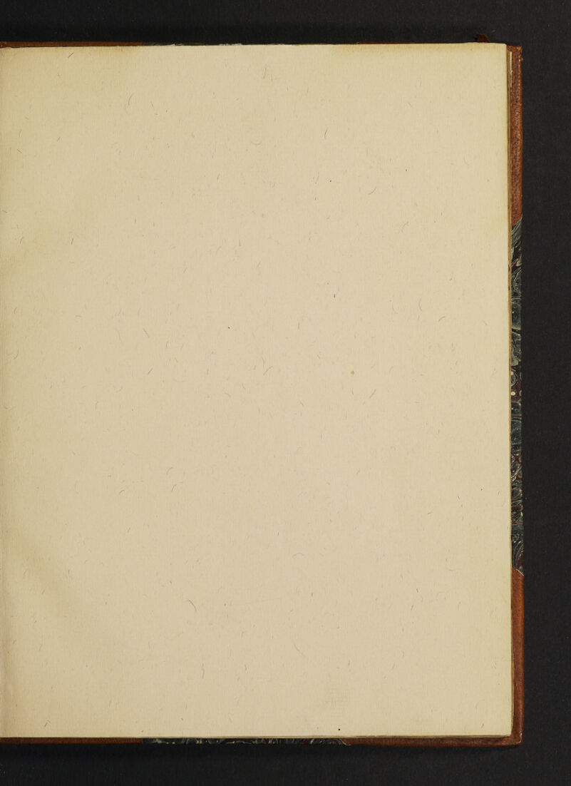 A -V