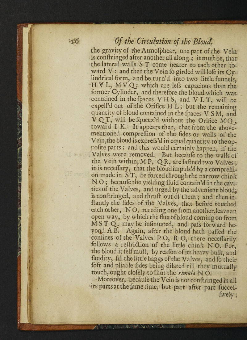 the gravity of t'he Atmofphear, one part of the Vein is conftringed after another all along ; it muft be, that the lateral walls S T come nearer to each other to¬ ward V : and then the Vein fo girded will lofe its Cy¬ lindrical form, and be turn’d into two little funnels, H V L, MV Qj which are lefs capacious than the former Cylinder, and therefore the bloud which was contained in the fpaces V H S, and V L T, will be expell’d out of the Orifice H L; but the remaining quantity of bloud contained in the fpaces V S M, and V QjT, will belqueez’d without the Orifice MQ_, toward I K. It appears then, that from the above- mentioned comprefiion of the fides or walls of the Vein,the bloud isexprefs’d in equal quantity to theop- pofite parts ; and this would certainly happen, if the Valves were removed.. But becaufe to the walls of the Vein within, M P, QR, arefaftned two Valves ; it is necelTary, that the bloud impuls’d by a comprelli- on made in ST, be forced through the narrow chink N O ; becaufe the yielding fluid contain’d in the cavi¬ ties of the Valves, and urged by the advenient bloud, is conftringed, and thruft out of them; and thenin- ftantly the fides of the Valves, that before touched each.other, NO, receding one from another,leave an open way, by which the flux of bloud coming on from M S T Q, may be infinuated, and pals forward be¬ yond A B. Again, after the bloud hath pafled the confines of the Valves P O, R O, there neceflarily follows a reftriftion of the little chink N O. For, the bloud itfelfmuft, by reafon of its heavy bulk, and fluidity, fill the little baggs of the Valves, and fo their foft and pliable fides being dilated till they mutually touch, ought clofely to fhut the rimulu N O. Moreover, becaufe the Vein is not conftringed in all ■its parts at the fame time, but part after part fuccef- iive'y;