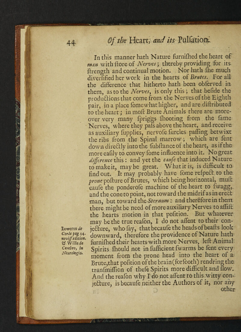 ILowerus de Corde fag. 14. novijf'.edition. rd W illis de Ccrebro, fffeurobgia* Of the Heart, and //s Pulfatiofr. Tn this manner hath Nature furnifhed the heart of mm with ftore of Nerves; thereby providing for its ftrength and continual motion. Nor hath fhe much diverfified her work in the hearts of Brutes. For all the difference that hitherto hath been obferved in them, as to the Nerves, is only this ; that befide the produftionsthat come from the Nerves of the Eighth pair, in a place fomewhat higher, and are diftributed to-the heart; in moft Brute Animals there are more¬ over very many fpriggs fhooting from the fame Nerves, where they pafs above the heart, and receive as auxiliary fupplies, nervofe furcles paffing betwixt the ribs from the Spinal marrow; which are font down dire&Iy into the fubftance of the heart, as if the more eafily to convey fome influence into it. No great difference this : and yet the caufe that induced Nature tomakeit, maybe great. Whatitis, is difficult to find out. It may probably have fome refpect to the. swze pofture of Brutes, which being horizontal, muff caufe the ponderofe machine of the heart to fwagg,. and the cone to point, not toward the midrif as in ereti man, but toward the Sternum : and therefore in them there might be need of more auxiliary Nerves toaflift the hearts motion in that pofition. But whatever may be the truereafon, I do not affent to their con- jeclure, who fay, that becaufo the heads of beafts look downward, therefore the providence of Nature hath furnifhed their hearts with more Nerves, left Animal Spirits fhould not in fufficient fwarms be font every moment from the prone head into the heart of a Brute,that pofition of the brain (for footh) rendring the tranfmiflion of thefo Spirits more difficult and flow. And the reafon why I do not affent to this witty con- jebfure, is becaufo neither the Authors of it, nor any other