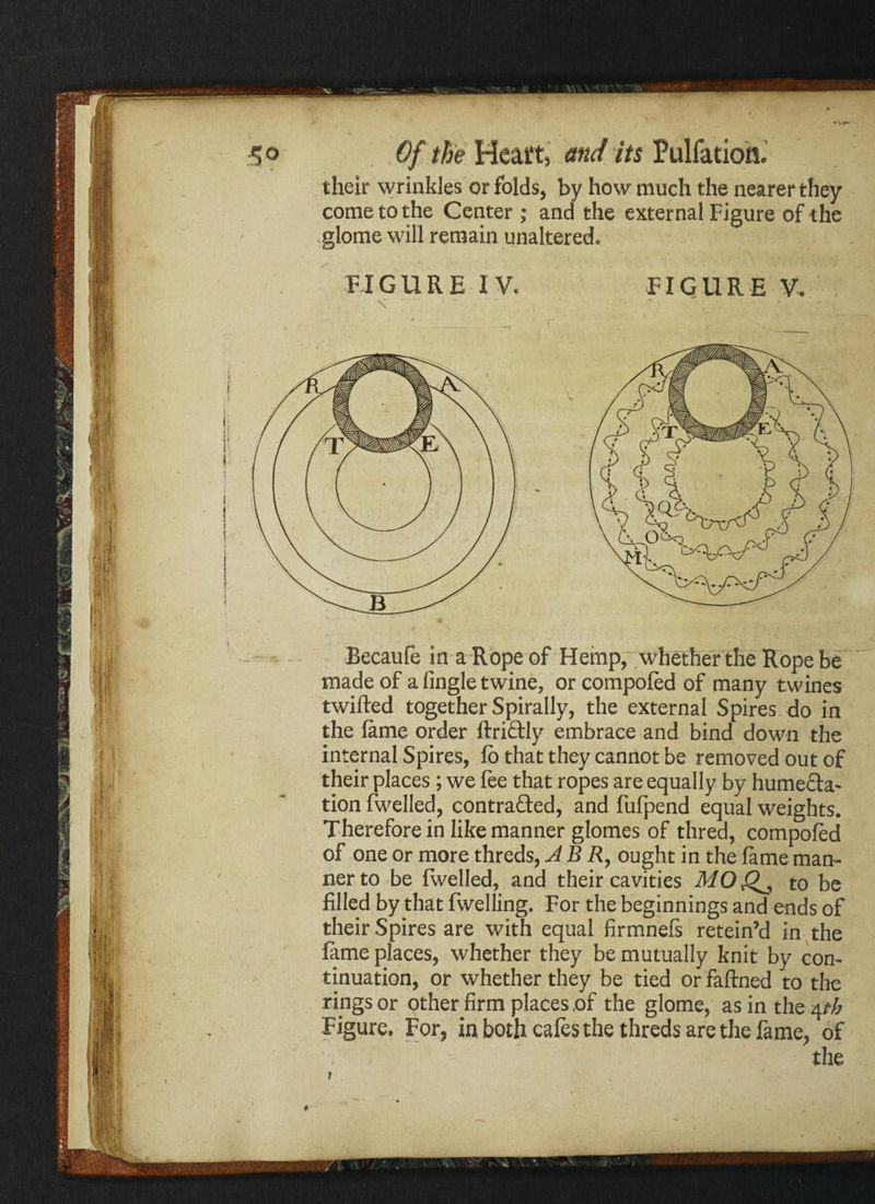 FIGURE IV, a. ; > *) ' s ’ V\\\\ \ ■' their wrinkles or folds, by how much the nearer they come to the Center ; and the external Figure of the glome will remain unaltered. FIGURE V. Becaufe in a Rope of Hemp, whether the Rope be made of a fingle twine, or compoled of many twines twilled together Spirally, the external Spires do in the lame order ftriCtly embrace and bind down the internal Spires, lb that they cannot be removed out of their places; we lee that ropes are equally by humecla- tion fwelled, contracted, and fufpend equal weights. Therefore in like manner glomes of thred, compoled of one or more threds, ABR, ought in the lame man¬ ner to be Iwelled, and their cavities MO to be filled by that fwelling. For the beginnings and ends of their Spires are with equal firmnels retein’d in the lame places, whether they be mutually knit by con¬ tinuation, or whether they be tied or faftned to the rings or other firm places of the glome, as in the 4th Figure. For, in both cafes the threds are the fame, of the
