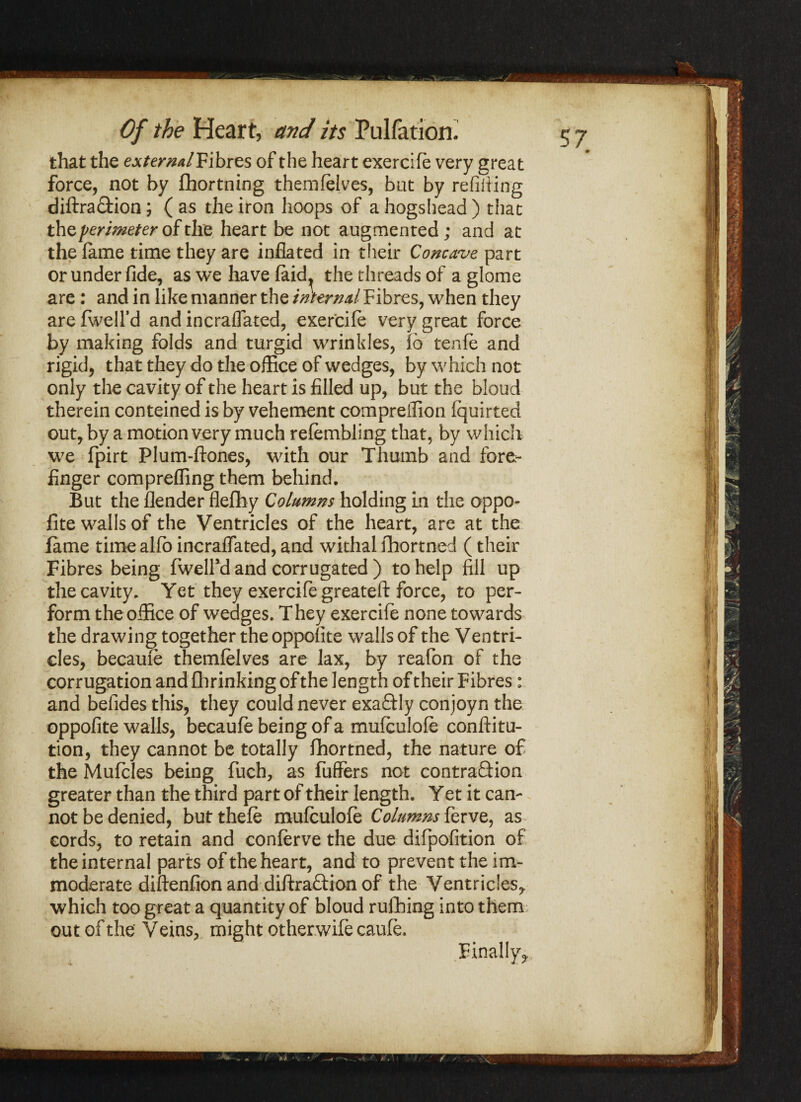 that the external Fibres of the heart exercife very great force, not by Ihortning themfelves, but by refilling diftraCtion; ( as the iron hoops of a hogshead ) that the perimeter of the heart be not augmented; and at the lame time they are inflated in their Concave part or under fide, as we have faid^ the threads of a glome are : and in like manner the internal Fibres, when they are fwelfd and incralfated, exercife very great force by making folds and turgid wrinkles, lo tenfe and rigid, that they do the office of wedges, by which not only the cavity of the heart is filled up, but the bloud therein conteined is by vehement compreifion (quirted out, by a motion very much refembling that, by which we fpirt Plum-ftones, with our Thumb and fore¬ finger comprefling them behind. But the (lender flefihy Columns holding in the oppo- fite walls of the Ventricles of the heart, are at the fame time alfo incralfated, and withal fhortned (their Fibres being fweird and corrugated ) to help fill up the cavity. Yet they exercife greateft force, to per¬ form the office of wedges. They exercife none towards the drawing together the opposite walls of the Ventri¬ cles, becaufe themfelves are lax, by reafon of the corrugation and fhrinking of the length of their Fibres: and befides this, they could never exaCtly conjoyn the oppofite walls, becaule being of a mulculole conftitu- tion, they cannot be totally (hortned, the nature of the Mufcles being fuch, as fuffers not contraction greater than the third part of their length. Yet it can¬ not be denied, butthefe mufculole Columns ferve, as cords, to retain and conlerve the due difpofition of the internal parts of the heart, and to prevent the im¬ moderate diftenfion and diftraCtion of the Ventricles,, which too great a quantity of bloud rufhing into them, out of the' Veins, might otherwife caufe. Finally^