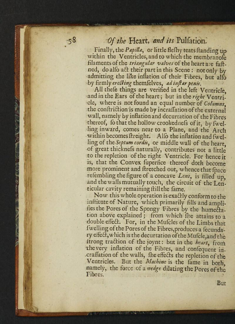 Finally, the Papilla, or little flefhy teats (landing up within the Ventricles, and to which the membranole filaments of the triangular valves of the heart are faft- ned, doallb a£t their partin this Scene : not only by admitting the like inflation of their Fibres, but alio • by firmly ertiling thetnfelves, ad inflarpenis. All thele things arc verified in the left Ventricle, and in the Ears of the heart; but in the right Ventri¬ cle, where is not found an equal number of Columns, the conftri&ion'is made by incraflation of the external wall, namely by inflation and decurtation of the Fibres thereof, fb that the hollow crookednefs of it, by (wel¬ ling inward, comes near to a Plane, and the Arch within becomes (freight. Allb the inflation and fwel- ling of the Septum cordis, or middle wall of the heart, of great thicknefs naturally, contributes not a little to the repletion of the right Ventricle. For hence it is, that the Convex fuperfice thereof doth become more prominent and ftretched out, whence that (pace reftmbling the figure of a concave Lens, is filled up, and the walls mutually touch, the circuit of the Len¬ ticular cavity remaining (fill the (ame. Now this whole operation is exactly conform to the inftituteof Nature, which primarily fills and ampli¬ fies the Pores of the Spongy Fibres by the humefta- tion above explained; from which fhe attains to a double effeft. For, in the Muftles of the Limbs that i’welling of the Pores of the Fibres,produces a ftcunda- ry effeft, which is the decurtation of the Mufcle,and the (trong traftion of the joynt: but in the heart, from the very inflation of the Fibres, and conftquent in- .craflation of the walls, fheeffefts the repletion of the Ventricles. But the Machine is the fame in both namely, the force of a mdge dilating the Pores of the Fibres. But