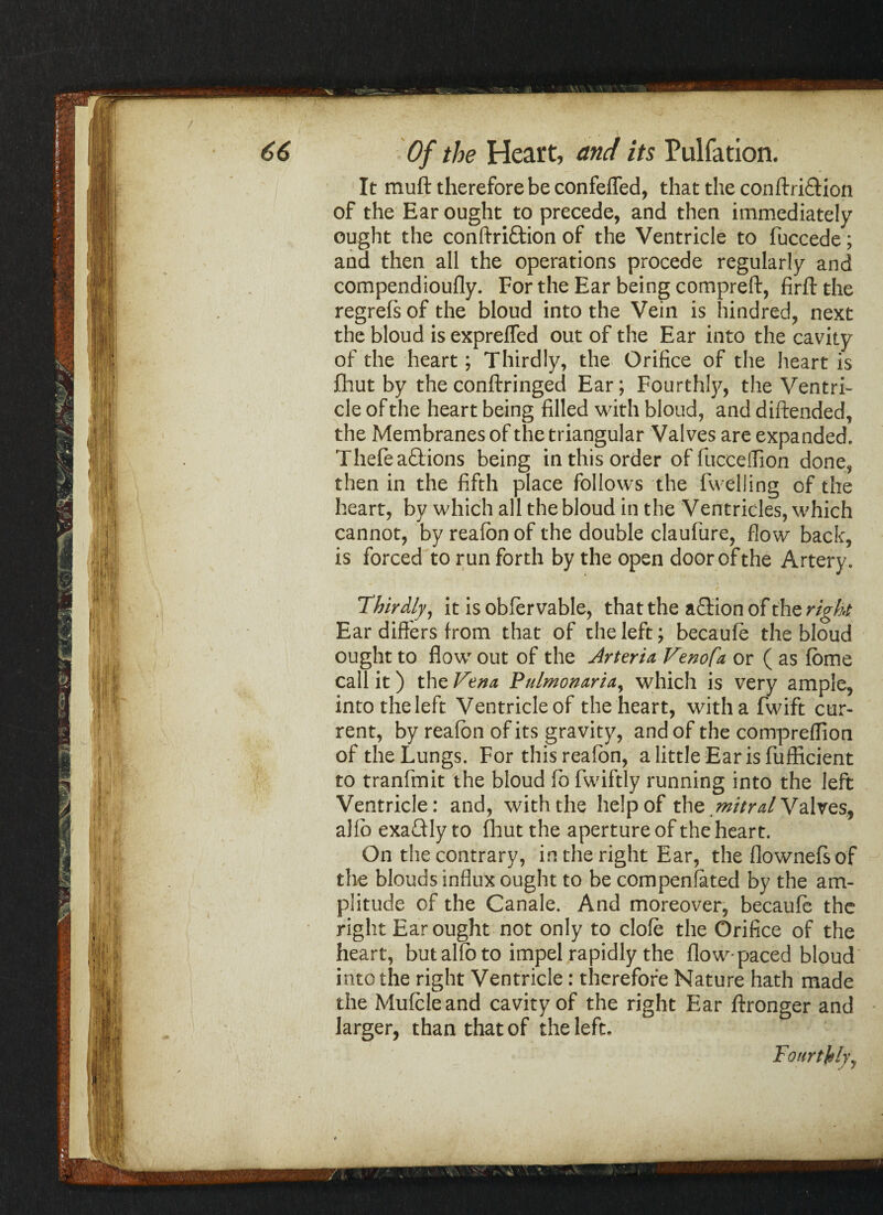 It muft therefore be confefled, that the conftri&ion of the Ear ought to precede, and then immediately ought the conftriftion of the Ventricle to fuccede; and then all the operations procede regularly and compendioufly. For the Ear being compreft, firft the regrefs of the bloud into the Vein is hindred, next the bloud is exprelfed out of the Ear into the cavity of the heart; Thirdly, the Orifice of the heart is fhut by the conftringed Ear; Fourthly, the Ventri¬ cle of the heart being filled with bloud, and diftended, the Membranes of the triangular Valves are expanded, Thefeabiions being in this order offucceffion done, then in the fifth place follows the lwelling of the heart, by which all the bloud in the Ventricles, which cannot, by reafbn of the double claufure, flow back, is forced to run forth by the open door of the Artery. / Thirdly, it is obfer vable, that the abHon of the right Ear differs from that of the left; becaufe the bloud ought to flow out of the Arteria Venofa or ( as fome call it) the Vena, Pulmonaria, which is very ample, into the left Ventricle of the heart, with a fwift cur¬ rent, by reafbn of its gravity, and of the compreflion of the Lungs. For this reafon, alittle Earisfufficient to tranfmit the bloud fo fwiftly running into the left Ventricle: and, with the help of the mitral Valves, alfb exabfly to fhut the aperture of the heart. On the contrary, in the right Ear, the flownefsof the blouds influx ought to be compensated by the am¬ plitude of the Canale. And moreover, becaufe the right Ear ought not only to clofe the Orifice of the heart, butalfo to impel rapidly the flow-paced bloud into the right Ventricle: therefore Nature hath made the Mufcleand cavity of the right Ear ftronger and larger, than that of the left. Fourthly,