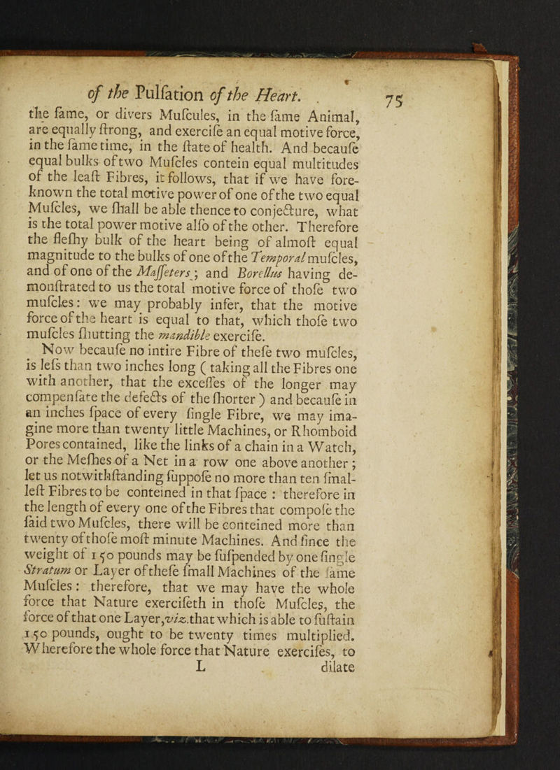 / f of the Puliation of the Heart. the fame, or clivers Mufcules, in the fame Animal, are equally ftrong, and exercife an equal motive force, in the lame time, in the ftate of health. And becaufe equal bulks of two Mufcles contein equal multitudes of the leaft Fibres, it follows, that if we have fore¬ known the total motive power of one of the two equal Mufcles, we fhall be able thence to conjecture, what is the total power motive alfo of the other. Therefore the flefhy bulk of the heart being of almoft equal magnitude to the bulks of one of the Temporal mufcles, and of one of the Masters ; and Borellws having de- monftrated to us the total motive force of thofe two mufcles: we may probably infer, that the motive force of the heart is equal to that, which thofe two mufcles fliutting the mandible exercife. Now becaufe no intire Fibre of thefe two mufcles, is Jefs than two inches long ( taking all the Fibres one with another, that the excefles of the longer may compenfate the defe&s of the fhorter ) and becaufe in an inches fpace of every fingle Fibre, we may ima¬ gine more than twenty little Machines, or Rhomboid Pores contained, like the links of a chain in a Watch, or the Mefhes of a Net in a row one above another ; let us notwithftanding fuppofe no more than ten final- left Fibres to be contemed in that fpace : therefore in the length of every one of the Fibres that compofe the faid two Mufcles, there will beconteined more than twenty of thofe moft minute Machines. And fince the weignt of i <jo pounds may be fufpended by one fingle Stratum or Layer of thefe fmall Machines of the fame Mufcles: therefore, that we may have the whole force that Nature exercifeth in thofe Mufcles, the force of that one Layer,-ivx.that which is able to fuftain 150 pounds, ought to be twenty times multiplied. Wherefore the whole force that Nature exercifes, to L . dilate