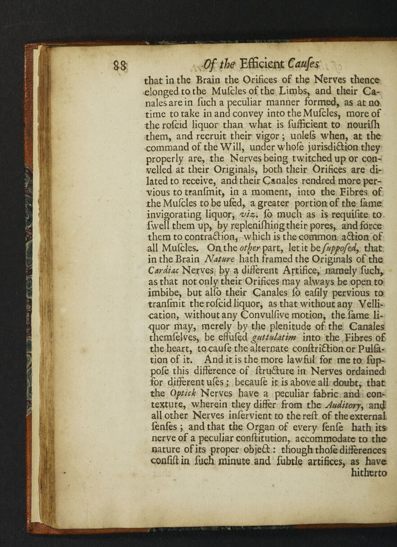 I I ill i!;| that in the Brain the Orifices of the Nerves thence elonged to the Mufclesofthe Limbs, and their Ca¬ nales are in fuch a peculiar manner formed, as at no time to take in and convey into the Mufcles, more of the rofcid liquor than what is fufficient to nourifh them, and recruit their vigor; unlefs when, at the command of the Will, under whole jurisdiction they properly are, the Nerves being twitched up or con- veiled at their Originals, both their Orifices are di¬ lated to receive, and their Canales rendred more per¬ vious to tranfmit, in a moment, into the Fibres of the Mufcles to be ufed, a greater portion of the lame invigorating liquor, viz. fo much as is requifite to fwell them up, by replenifhing their pores, and force them to contraction, which is the common a£tion of all Mufcles, On the other part, let it bzfuppofed, that in the Brain Nature hath framed the Originals of the Cardiac Nerves by a different Artifice, namely fuch, as that not only their Orifices may always be open to imbibe, but alfo their Canales ib eafily pervious to tranfmit the rofcid liquor, as that without any Velli- cation, without any Convulfive motion, the fame li¬ quor may, merely by the plenitude of the Canales themfefVes, be effufed guttulatim into the Fibres of the heart, to caufe the alternate conftriCtion or Pulia¬ tion of it. And it is the more lawful for me to fup- pofe this difference of ftru&ure in Nerves ordained for different ufes; becaufe it is above all doubt, that the Of tick Nerves have a peculiar fabric and con¬ texture, wherein they differ from the Auditory, and all other Nerves infervientto the reft of the external, fenfes ; and that the Organ of every fenfe hath its nerve of a peculiar conftitution, accommodate to the nature of its proper object: though thofe differences confift in fuch minute and fubtle artifices, as have hitherto
