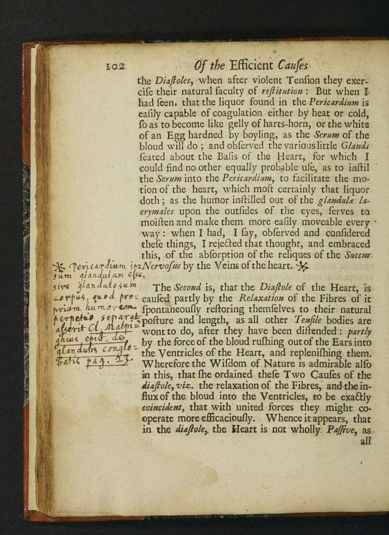 a - » p ' 5- the Diafioles, when after violent Tenfion they exer- cife their natural faculty of refiitution : But when I had feen, that the liquor found in the Pericardium is eafily capable of coagulation either by heat or cold, fo as to become like gelly of harts-horn, or the white of an Egg hardned by boyling, as the Serum of the bloud will do ; and obferved the various little Glands feated about the Bafis of the Heart, for which I could find no other equally probable ufe, as to inftil the Serum into the Pericardium, to facilitate the mo¬ tion of the heart, which molt certainly that liquor doth; as the humor inftilled out of the glandnU U- crymales upon the outfides of the eyes, ferves to moiften and make them more eafily moveable every way : when I had, I fay, obferved and confidered thefe things, I rejefted that thought, and embraced this, of the abfbrption of the reliques of the Succtts> ^ <[WL cvrJiMAn. tbxNervofus by the Veins of the heart. ^ 5 ttm alxndaicLrn 5w* turn The Second is, that the Diafiole of the Heart, is jwz Gaufed partly by the Relaxation of the Fibres of it „ by the force of the bloud rufhing out of the Ears into ~ the Ventricles of the Heart, and replenifhing them. ArdJr^ j1.A $ * A* Wherefore the Wifdom of Nature is admirable alfo ki this, thatfhe ordained thefe Two Caufes of the diafiole, viz. the relaxation of the Fibres, and the in¬ flux of the bloud into the Ventricles, to be exaftly coincident, that with united forces they might co¬ operate more efficacioufly. Whence it appears, that in the diafiole7 the Heart is not wholly Pa/five, as all