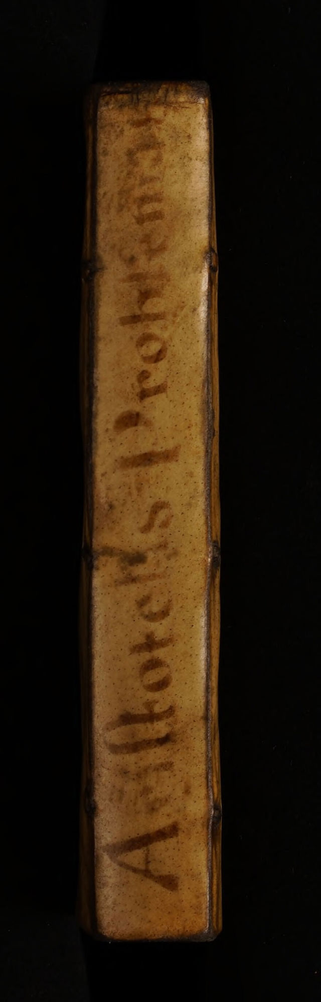 digitised image 2