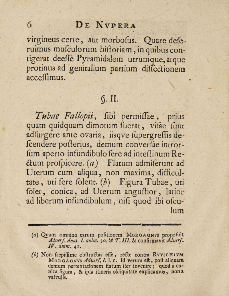 virgineus certe, aut morbofus. Quare defe- ruimus mufculorum hffioriam, in quibus con¬ tigerat deefle Pyramidalem utrumque, atque protinus ad genitalium partium dille&ionem acceffimus. ■ j _ 0. II. , Tubae Fallopii, fibi permilTae , prius quam quidquam dimotum fuerat, vifae ffint adlurgere ante ovaria, iisqve lupergreffis de- fcendere poflerius, demum converlaeintror- ffim aperto infundibulo fere ad inteftinum Re- <51 um profpicere. (a) Flatum admilerunt ad Uterum cum aliqua, non maxima, difficul¬ tate , uti fere folent. (b) Figura Tubae, uti (olet, conica, ad Uterum anguffior, latior ad liberum infundibulum, nifi quod ibi ofcu- lum (a) Quam omnino earum pofitionem Morgagnvs propofuit Adverf. Anat. I. anim. 30. & T. IIL & confirmavit Adverf% IV. anim. 41. (b) Non faepiffime obftrudtas efle, re£le contra Rvyschivm Morgagnvs Adverf% l. 1. c. Id verum eft, poft aliquam demum pertentationem flatum iter invenire; quod a co¬ nica figura, & ipfa itineris obliquitate explicamus, nona valvulis.