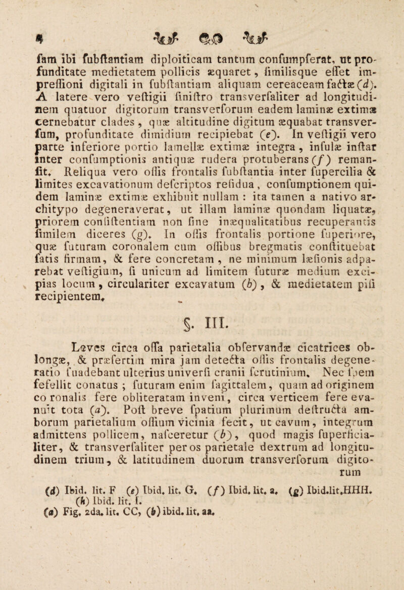 fam ibi fubftantiam diploideam tantum confumpferat, ut pro- funditate medietatem pollicis asquaret, iimilisque elfet im~ preflioni digitali in fubdantiam aliquam cereaceam fadtse (i). A latere vero vedigii finidro transverfalicer ad longitudi¬ nem quatuor digitorum transverforum eadem lamina extimas cernebatur clades, quae altitudine digitum aequabat transver- fum, profunditate dimidium recipiebat (e). In vedigii vero parte inferiore portio lamellas extimas integra, infulse indar inter confumptionis antiquae rudera protuberans (f) reman- fit. Reliqua vero ollis frontalis fubftantia inter fupercilia & limites excavationum deferiptos relidua , confumptionem qui¬ dem laminae extimas exhibuit nullam : ita tamen a nativo ar* chitypo degeneraverat, ut illam laminas quondam liquatae, priorem confidentiam non fine inaequalitatibus recuperantis fimilem diceres (g). In ollis frontalis portione fuperiore, quas futuram coronalem cum olfibus bregmatis condituebat fatis firmam, & fere concretam , ne minimum lasfionis adpa- rebat vedigium, fi unicum ad limitem futuras medium exci¬ pias locum, circulariter excavatum ([h) , & medietatem pili recipientem* 5. in. Leves circa o(Ta parietalia obfervandae cicatrices ob¬ longae, & prasfertim mira jam detecta ollis frontalis degene¬ ratio fuadebant ulterius univerfi cranii ferutinium. Nec Dem fefellit conatus ; futuram enim fagittalem, quam ad originem coronalis fere obliteratam inveni, circa verticem fere eva¬ nuit tota (V). Pod breve fpatium plurimum dedrudta am¬ borum parietalium ollium vicinia fecit, ut cavum, integrum admittens pollicem, nafeeretur Qb), quod magis fuperfieia- liter, & transverfaliter per os parietale dextrum ad longitu¬ dinem trium, & latitudinem duorum transverforum digito¬ rum (d) Ibid. Iit. F 0) Ibid. Iit. G. (/) Ibid. Ut* a* (p) Ibid.lit.HHH* (h) Ibid. Iit. f. (a) Fig. 2da. Iit. CC, (b) ibid. Iit. aa.