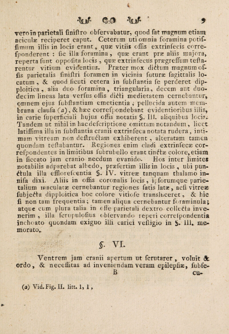 i 9 vero in parietali finiftro obfervabatur, quod fat magnum etiam aciculae reciperet caput. Ceterum uti omnia foramina potif- fimum illis in locis erant, quae vitiis offis extrinfecis corre- fponderent : fic illa foramina , quse erant prse aliis majora, reperta funt oppolita locis , qua? extrinfecus praegreffum refla¬ rentur vitium evicfentius. Praeter mox diClum magnum of¬ fis parietalis fmiftri foramen in vicinia futurae fagittalis lo¬ catum , & quod iVcuti cetera in fub flantia fe perderet dip- ploitica , alia duo foramina, triangularia, decem aut duo¬ decim lineas lata verius ollis diCli medietatem cernebantur, omnem ejus fub.fian.tiam emetientia ; pellucida autem mem¬ brana claufa (a), &haec correfpondebant evidentioribus illis, in carie fuperficiali hujus offis notatis §. III. aliquibus loci?; Tandem ut nihil in hac defcriptione omittam notandum , liect latiffima illa in fubfiantia cranii extrinfeea notata rudera, inti¬ mam vitream non defiruftam exhiberent , alteratam tamen quondam reflabantur. Pvegiones enim cladi extrinfeea cor- refpondentes in limitibus fubrubello erant tinCbe colore, etiam in ficcato jam cranio necdum evanido. Hos inter limites notabilis adparebat albedo, prariertim illis in locis, ubi pun¬ ctula illa effioreicentia §. IV. vitrese tanquam thalamo in« nifa dixi. Aliis in offis coronalis locis , ipforumque parie¬ talium maculatae cernebantur regiones fatis latae, aefi vitreas fubjeda dipploitica hoc colore vitiofe transluceret, & hie fi non tam frequentia; tamen aliqua cernebantur foraminula; atque cum plura talia in olle parietali dextro colledta inve¬ nerim , illa fcrupulofius obiervando reperi correlpondentia inchoato quondam exiguo illi cariei vefiigio in HI. me* morato* SaM §■ vi. Ventrem jam cranii apertum ut ferutarer , voluit & ordo, & neceffitas ad inveniendam veram epilepliae, fubfe- (a) Vid. Fig. II. litt. 1,1,