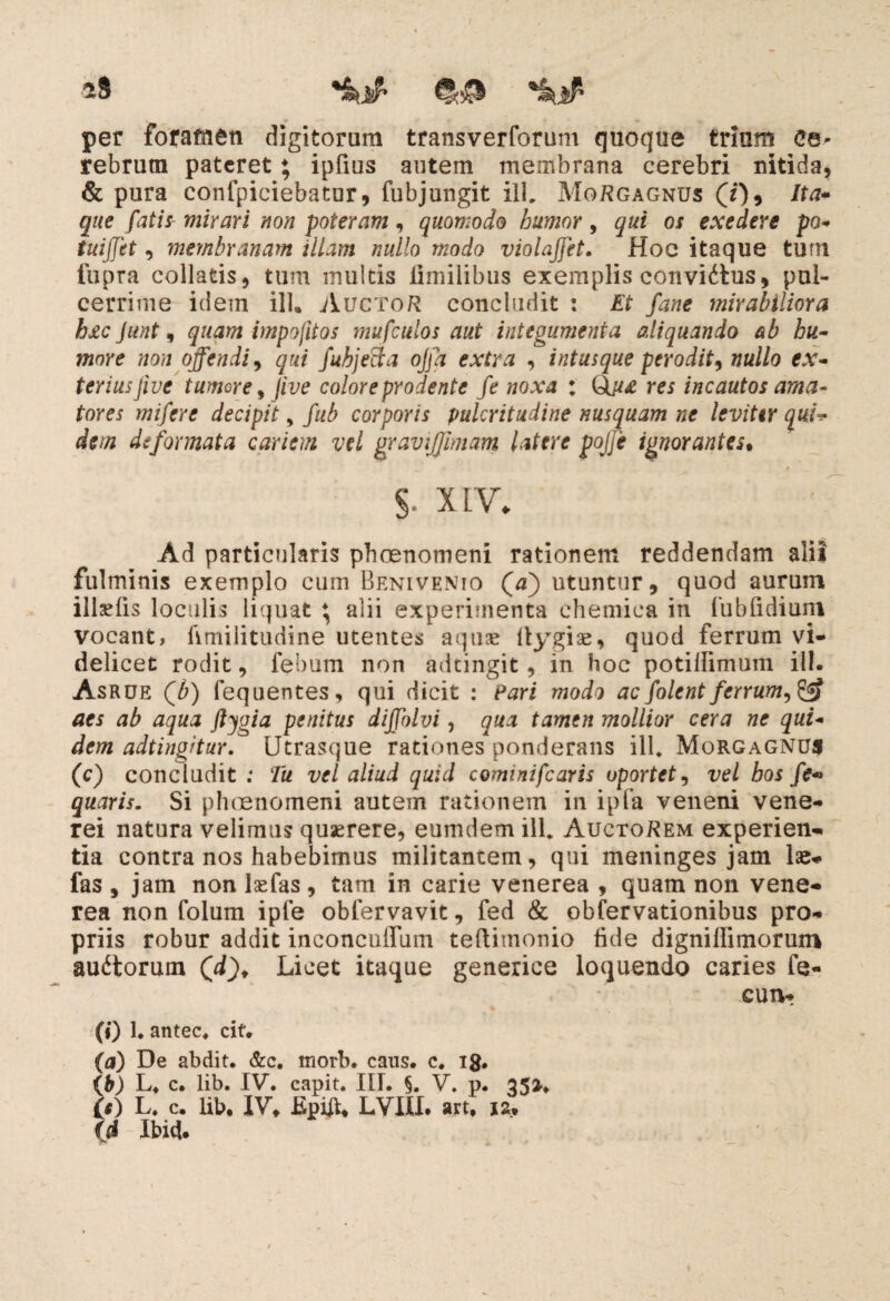 ^8 per foramen digitorum transverforum quoque trium Ce¬ rebrum pateret ; ipfius autem membrana cerebri nitida, & pura confpiciebatur, fubjungit ili* Morgagnus (Y), Ita- /af/* mirari non poteram, quomodo humor, qui os exedere po- tuiffet, membranam illam nullo modo violajfet. Hoc itaque tum fupra collaris, tum multis iimilibus exemplis conviitus, pul- cerrime idem ili. Auctor concludit : Et fane mirabiliora h£c Junt, quam impojitos mufculos aut integumenta aliquando ab hu¬ more non offendi 9 qui fubjecta offa extra , intusque perodit, nullo ex¬ teriusjive tumore, jive colore prodente fe noxa % Qm res incautos ama¬ tores mifere decipit, fub corporis pulcritudine nusquam ne leviter qui* dem deformata cariem vel gravijfimam latere pojje ignorantes• §. xtv. Ad particularis pheenomeni rationem reddendam alii fulminis exemplo cum Benivenio (Y) utuntur, quod aurum illaefis loculis liquat ♦ alii experimenta chemica in fubfidium vocant, ftmilitudine utentes aquae (lygi se, quod ferrum vi¬ delicet rodit, febum non adtingit, in hoc potiflimum ili- Asrue Qb) fequentes, qui dicit : Pari modo ac folent ferrum, aes ab aqua ftygia penitus diffolvi, qua tamen mollior cera ne qui¬ dem adtingitur. Utrasque rationes ponderans ili* Morgagnus (c) concludit : Tu vel aliud quid cominifcaris oportet, vel hos fe« quaris. Si pheenomeni autem rationem in ipfa veneni Vene¬ rei natura velimus quserere, eumdem ili* Auctorem experien¬ tia contra nos habebimus militantem, qui meninges jam Ise- fas , jam non isefas, tam in carie venerea , quam non vene- rea non folum ipfe obfervavit, fed & obfervationibus pro¬ priis robur addit inconcuffum teftimonio fide dignillimorum auctorum (Y), Licet itaque generice loquendo caries fe- cun- (0 i. antec. cif. (a) De abdit. &c. morb. cans. c. ig. (b) L. c. lib. IV. capit. III. §. V. p. 35^ ie) L. c. lib, IV* Epift, LVIII. art. 12« (d Ibid.