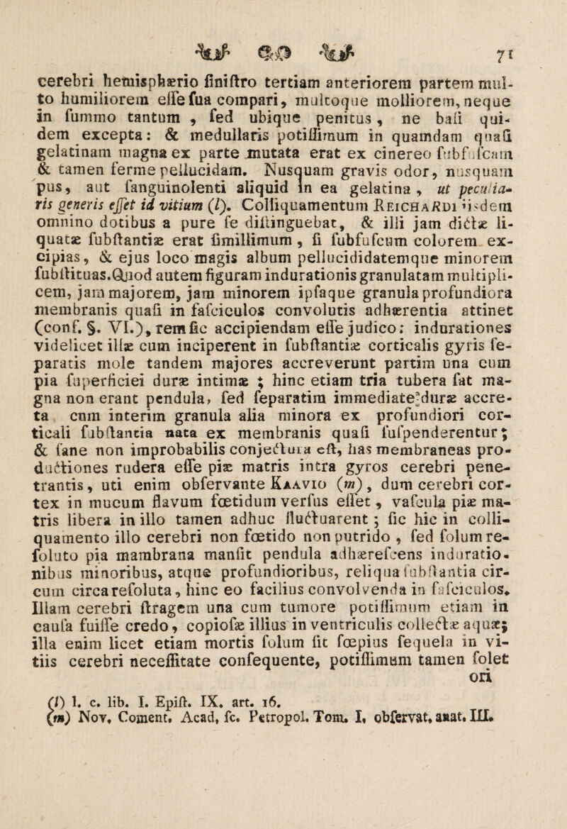 cerebri hemisphaerio finiftro tertiam anteriorem partem mul¬ to humiliorem effefua compari, multoque molliorem, neque in fummo tantum , fed ubique penitus, ne baii qui¬ dem excepta: & medullaris potiflimum in quamdam quali gelatinain magna ex parte mutata erat ex cinereo fubfufcam & tamen ferme pellucidam. Nusquam gravis odor , nusquam pus, aut fanguinolenti aliquid in ea gelatina , ut peculia» ris generis ejjet id vitium (/). Colliquamentum ReichaEdi iisdem omnino dotibus a pure fe diliinguebat, & illi jam diClae li¬ quatae fubftantise erat fimillimum, fi fubfufcum colorem ex¬ cipias, & ejus loco magis album pellucididatemque minorem fubilituas.GLuod autem figuram indurationis granulatam multipli¬ cem, jam majorem, jam minorem ipfaque granula profundiora membranis quafi in fafciculos convolutis adhaerentia attinet (conf. §. VI.),remfic accipiendam effe judico; indurationes videlicet illae cum inciperent in fubftantbe corticalis gyris fe- paratis mole tandem majores accreverunt partim una eum pia fuperficiei durae intimae % hinc etiam tria tubera fat ma¬ gna non erant pendula, fed feparatim immediate^durae accre¬ ta cnm interim granula alia minora ex profundiori cor¬ ticali fibfiancia nata ex membranis quafi iuipenderentur % & (ane non improbabilis conjeCtuia efl, has membraneas pro¬ ductiones rudera effe pise matris intra gyros cerebri pene¬ trantis , uti enim obfervante Kaavio (m) , dum cerebri cor¬ tex in mucum flavum foetidum verfus ellet , vafeula pias ma¬ tris libera in illo tamen adhuc iluttuarent; fic hic in colli- quamento illo cerebri non foetido non putrido , fed folumre- foluto pia mambrana manfit pendula adhaerefcens induratio- nibus minoribus, atque profundioribus, reliqua iubdantia cir¬ cum circarefoluta, hinc eo facilius convolvenda in fafciculos*. Illam cerebri ftragem una cum tumore potiflimimi etiam in eaufa fuiffe credo, copiofae illius in ventriculis collecta aquae; illa enim licet etiam mortis folum fit foepius fequela in vi¬ tiis cerebri neceffitate confequente, potiflimum tamen folet ori Ci() 1. c. lib. I. Epift. IX. art. 16. (tn) Noy. Coment. Acadt fc. Pctropol. Tom. I, obfemt. anat. III#