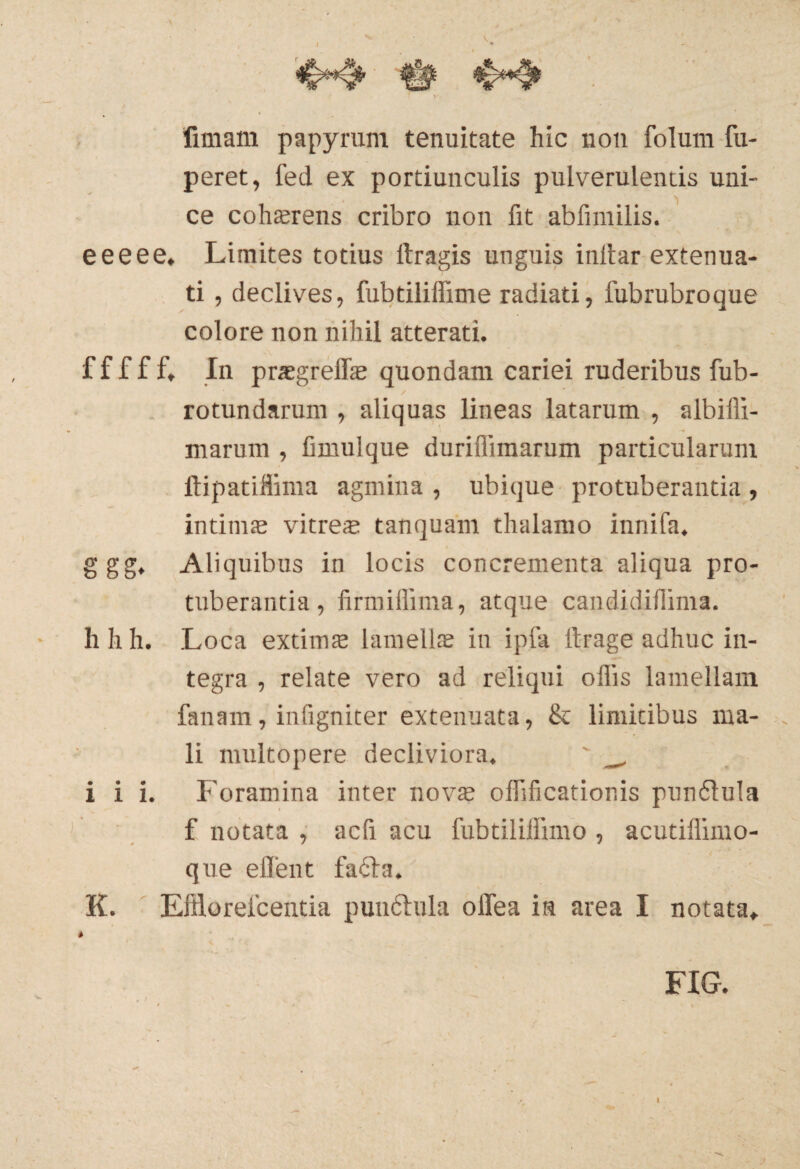 fimam papyrum tenuitate hic non folum fu- peret, fed ex portiunculis pulverulentis uni¬ ce cohasrens cribro non fit abfimilis. eeeee. Limites totius ltragis unguis inltar extenua¬ ti , declives, fubtiliffime radiati, fubrubroque colore non nihil atterati. fffff. In praegreffas quondam cariei ruderibus fub- rotundarum , aliquas lineas latarum , albiffi- marum , fimulque durifiimarum particularum ftipatiffima agmina , ubique protuberantia , intimas vitreae tanquam thalamo innifa. ggg, Aliquibus in locis concrementa aliqua pro¬ tuberantia, firmiffima, atque candidifiima. hhh. Loca extimae lamellas in ipfa ftrage adhuc in¬ tegra , relate vero ad reliqui offis lamellam fanam, infigniter extenuata, & limicibus ma¬ li multopere decliviora. ' __ i i i. Foramina inter novas offificationis punfilula f notata , acfi acu fubtiliffimo , acutiffimo- que effent fa£ta. K. Effiorelceutia pun6tula olTea in area I notata» » FIG.