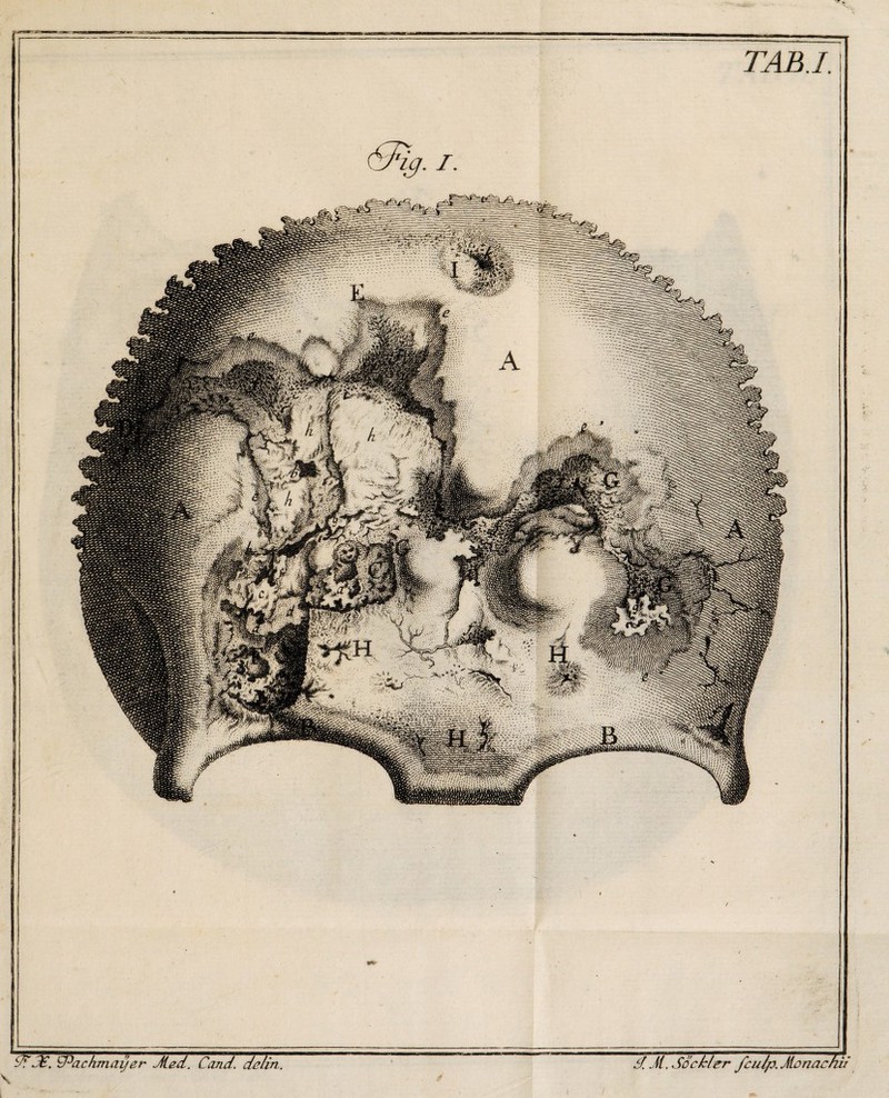 3£, ‘tPcickmayer Jied. Cand. delin, i/ Ji. Sock/er fculp. Monachii TABI. '¥)■ J-